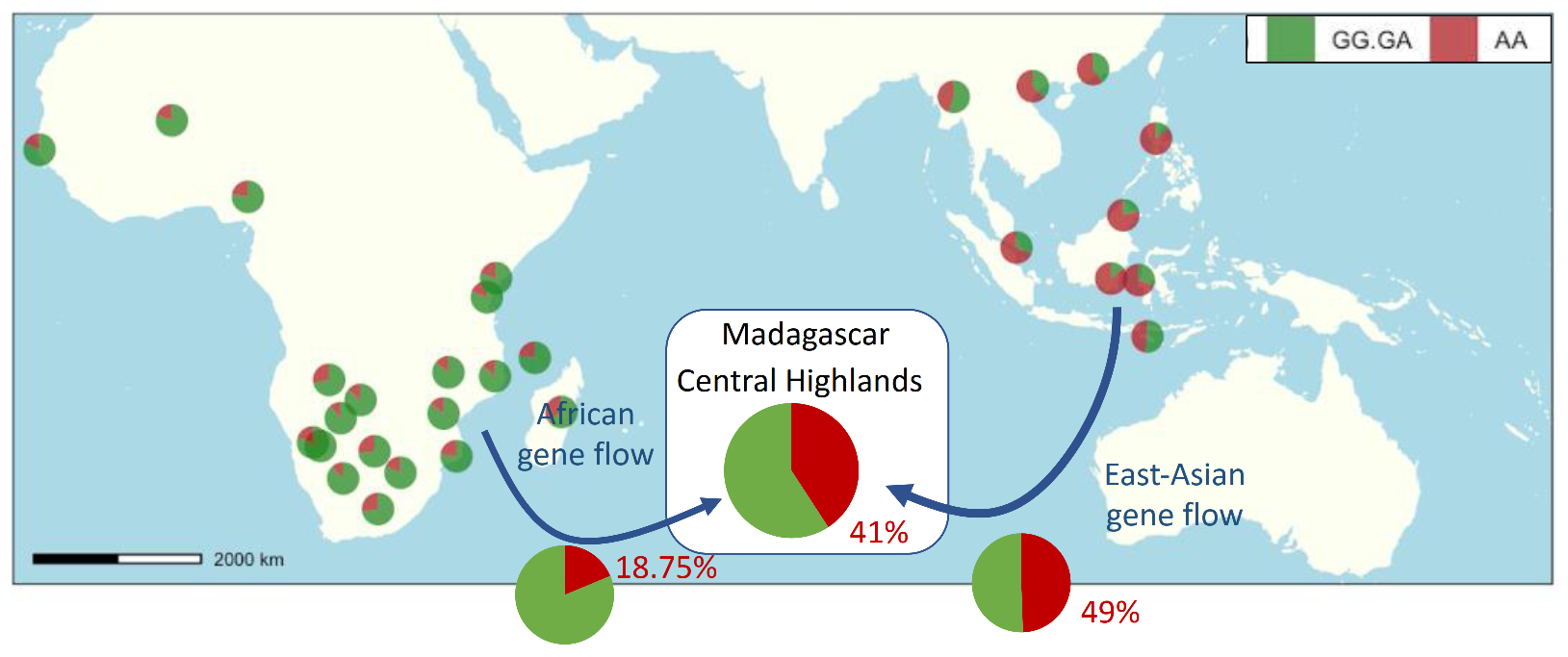 Brainsci 11 01405 g004