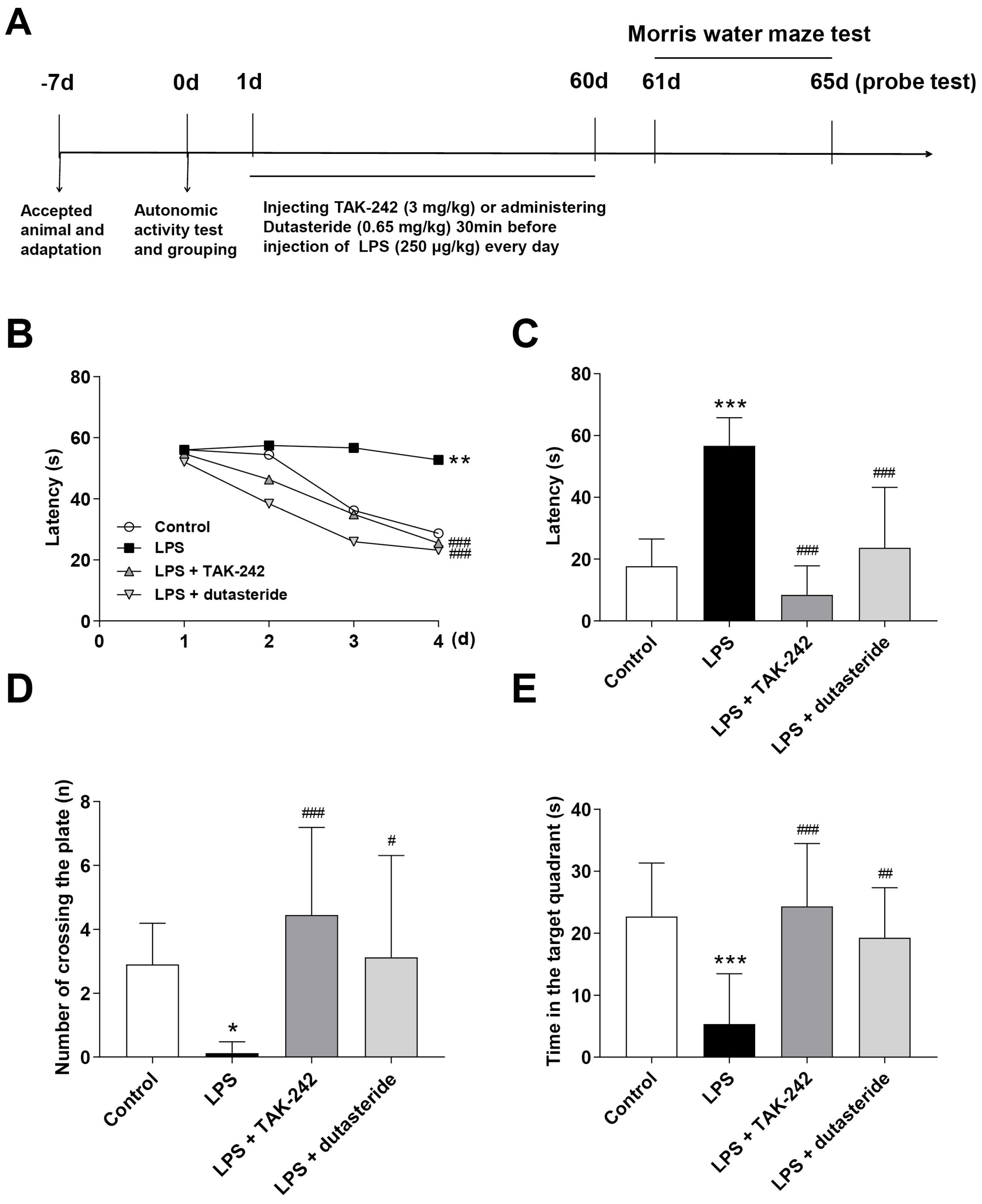 LINCS Dataset-Based Repositioning of Dutasteride as an Anti