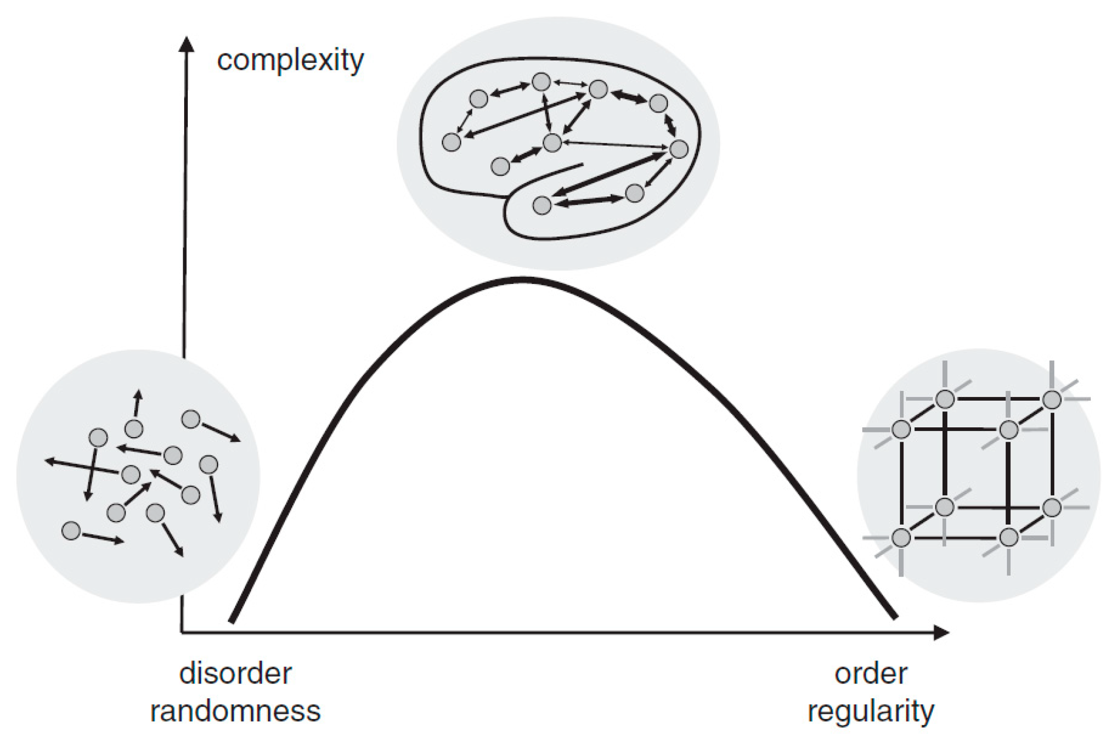 Brainsci 11 01415 g001