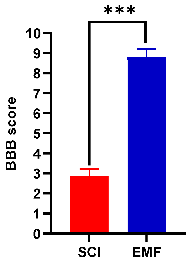 Brainsci 11 01431 g001