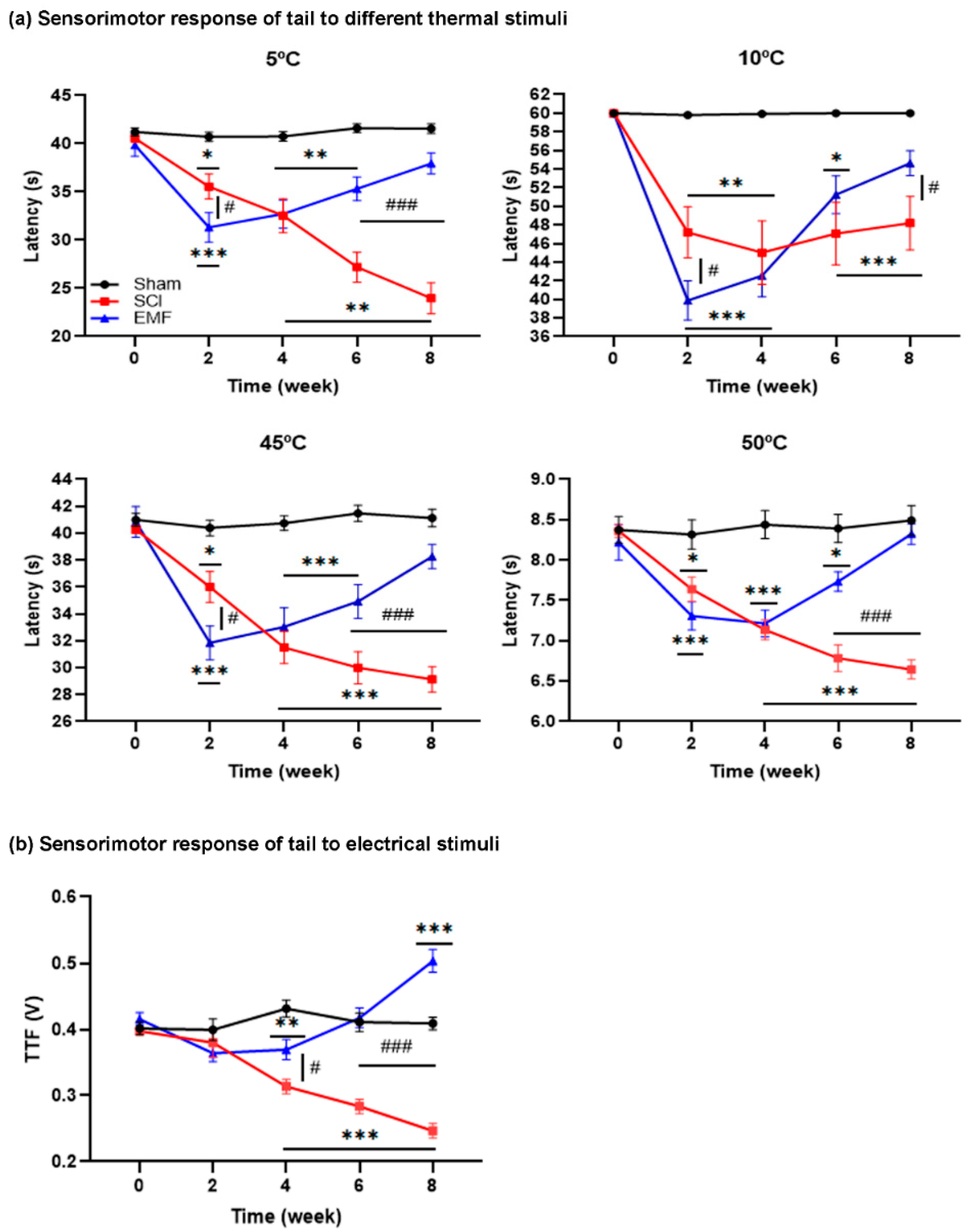 Brainsci 11 01431 g002