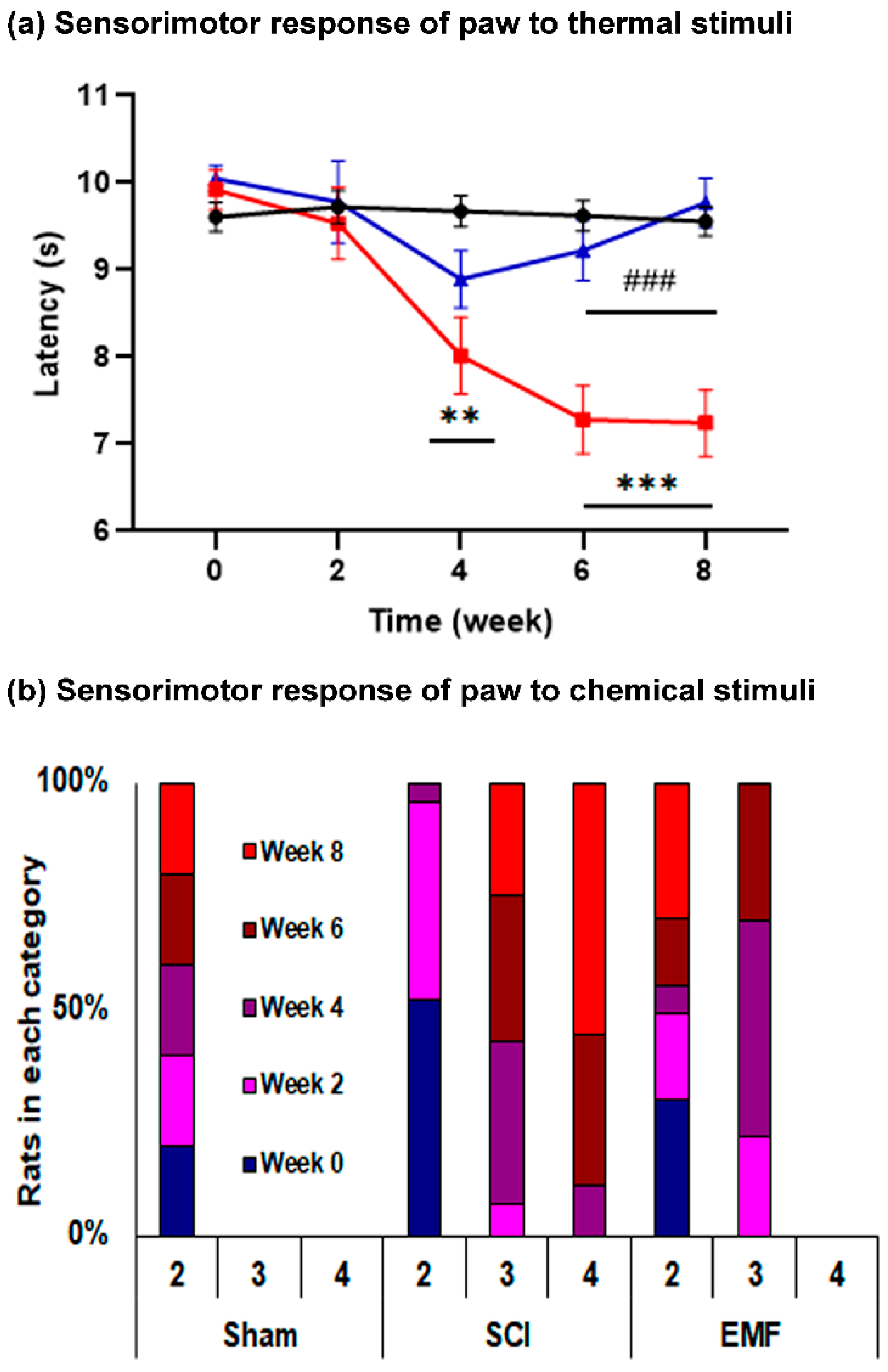 Brainsci 11 01431 g003