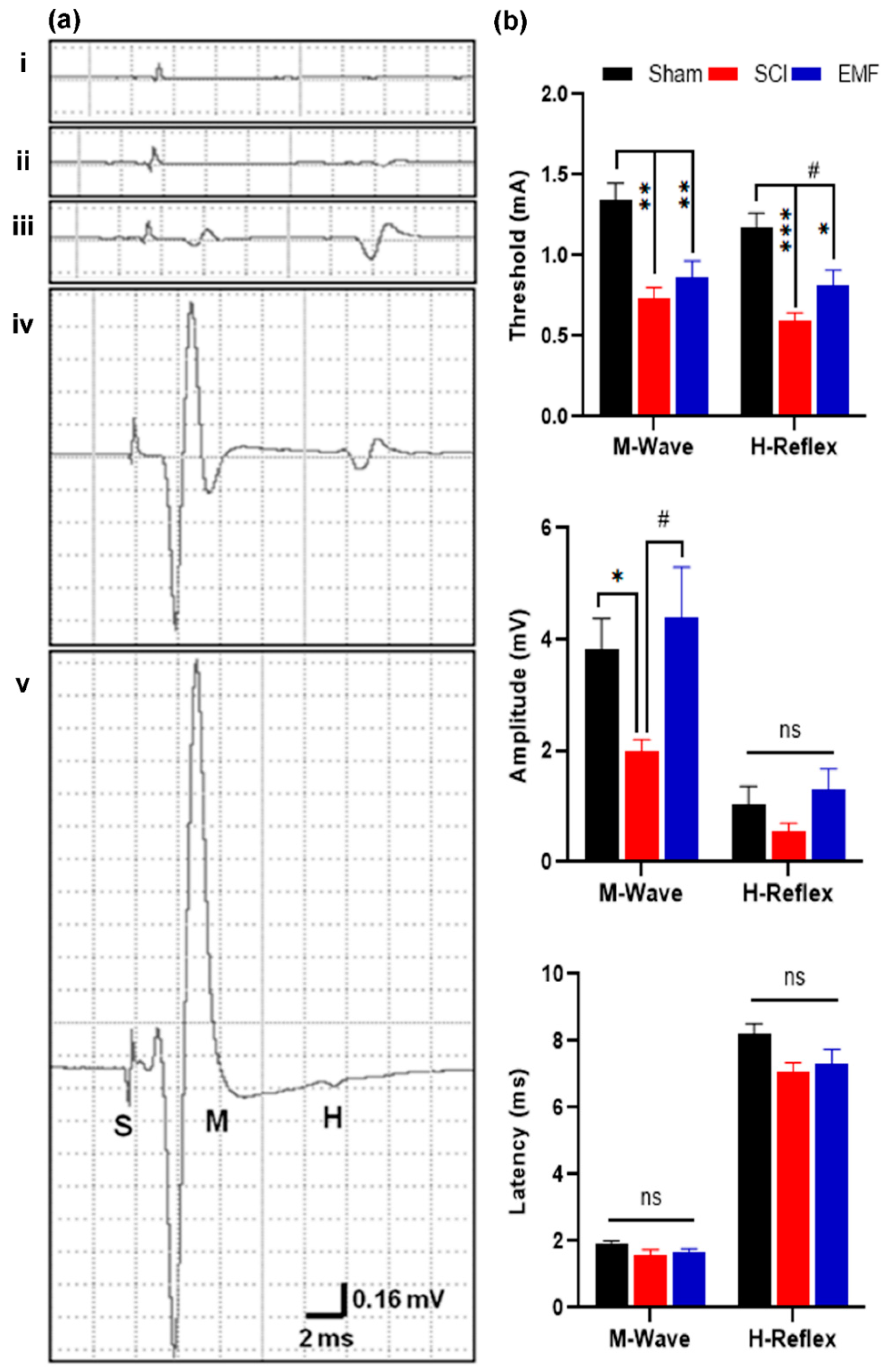Brainsci 11 01431 g004
