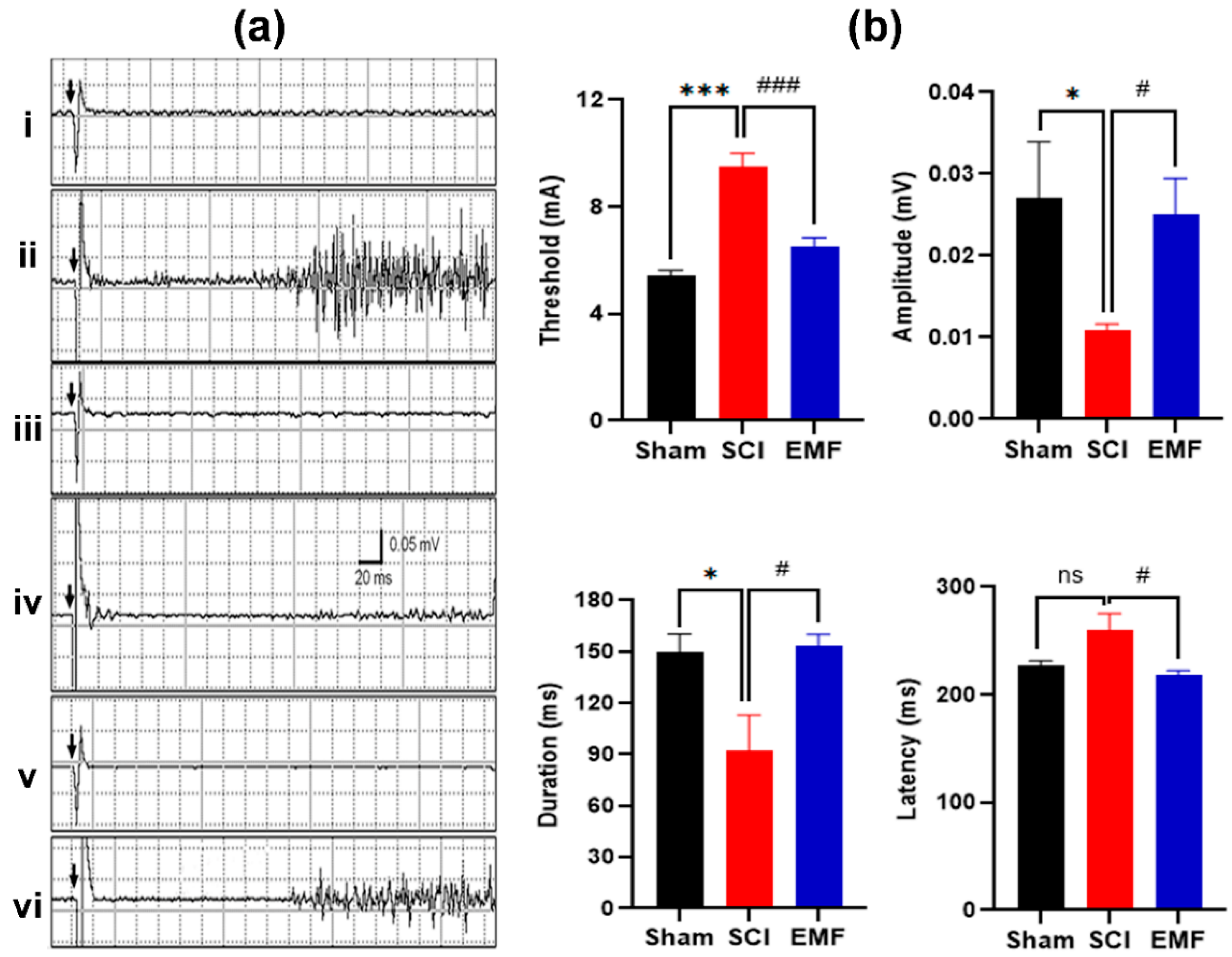 Brainsci 11 01431 g005