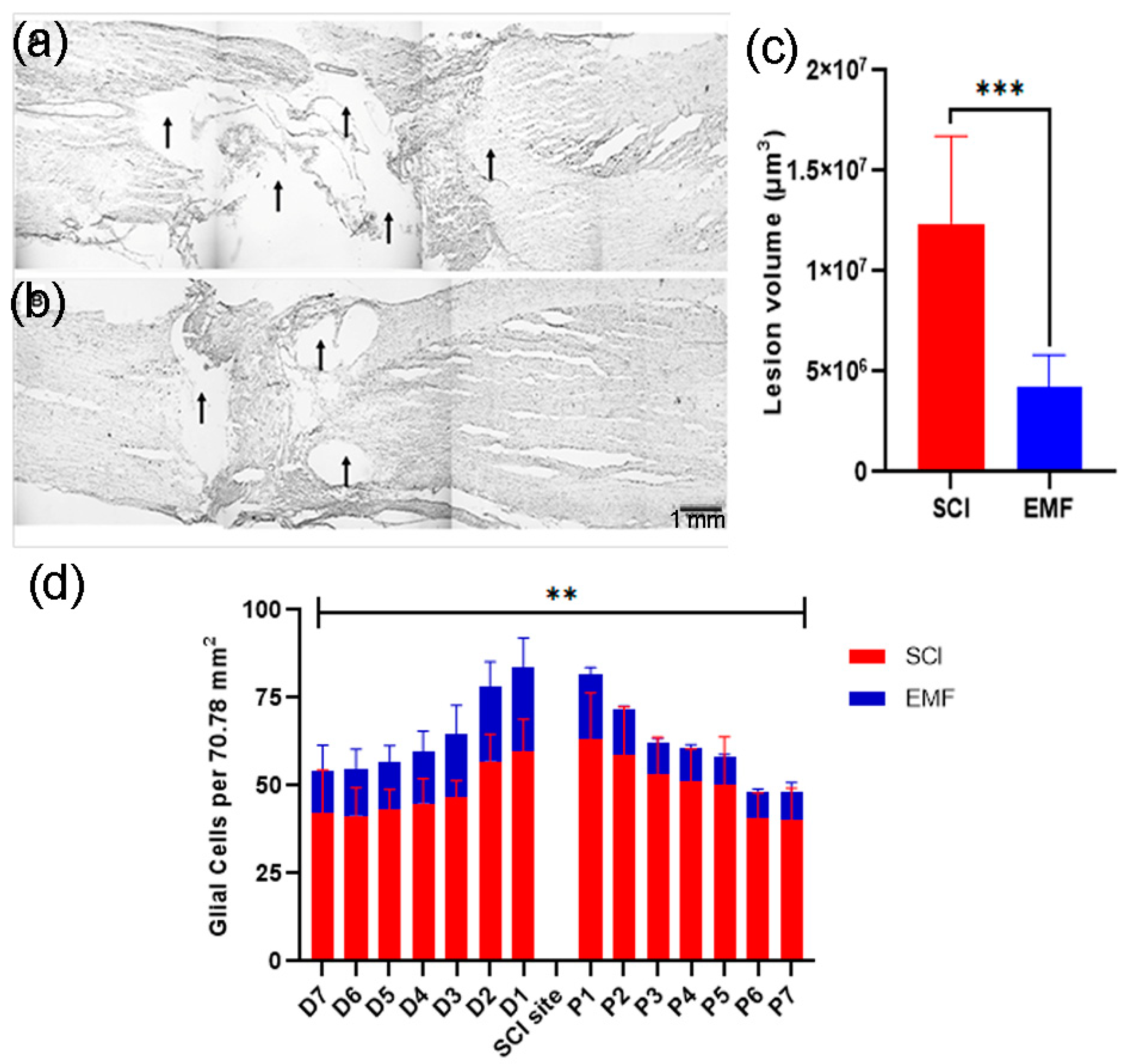 Brainsci 11 01431 g006