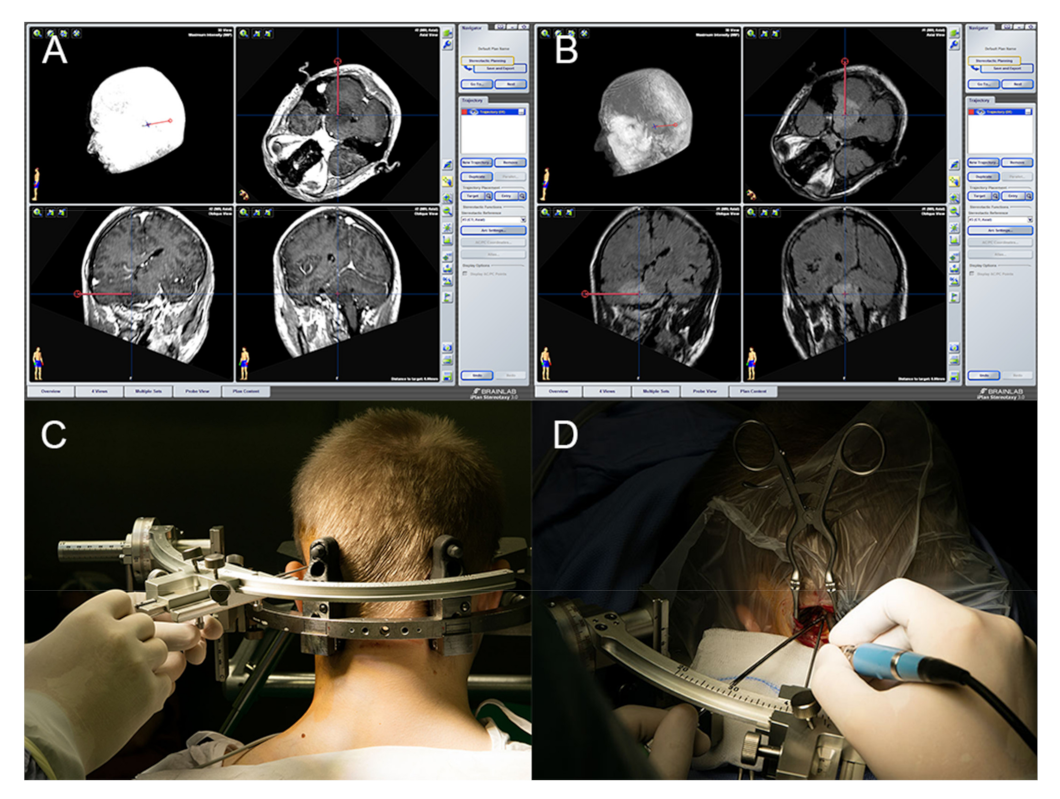 Brainsci 11 01432 g002