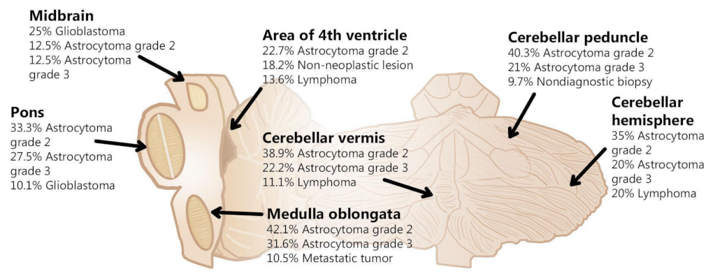 Brainsci 11 01432 g003