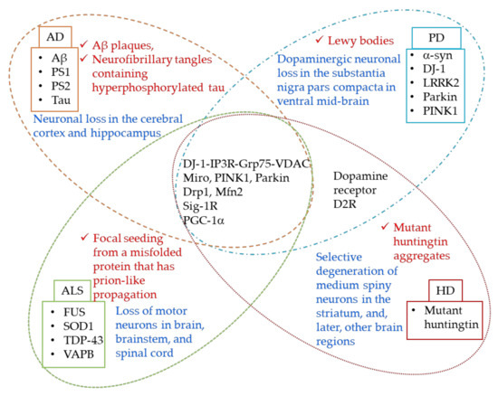Connection Lost, MAM: Errors in ER–Mitochondria Connections