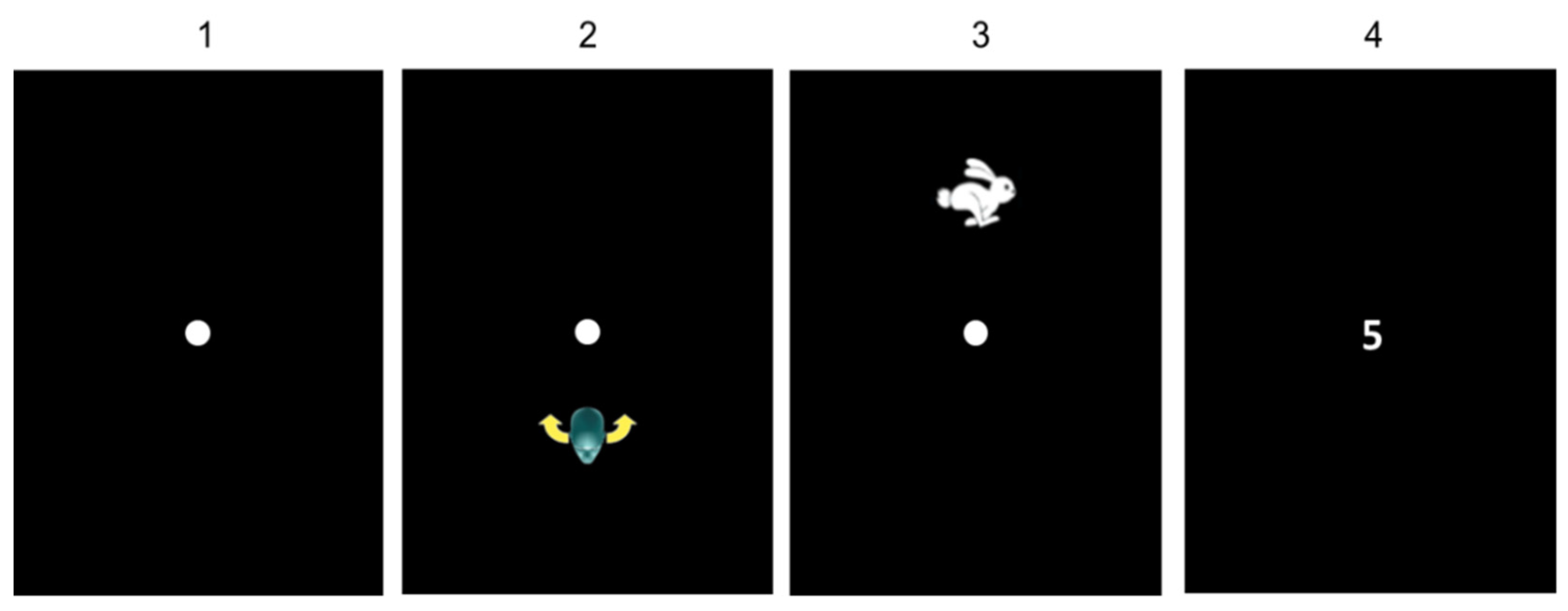 Brainsci 11 01440 g003