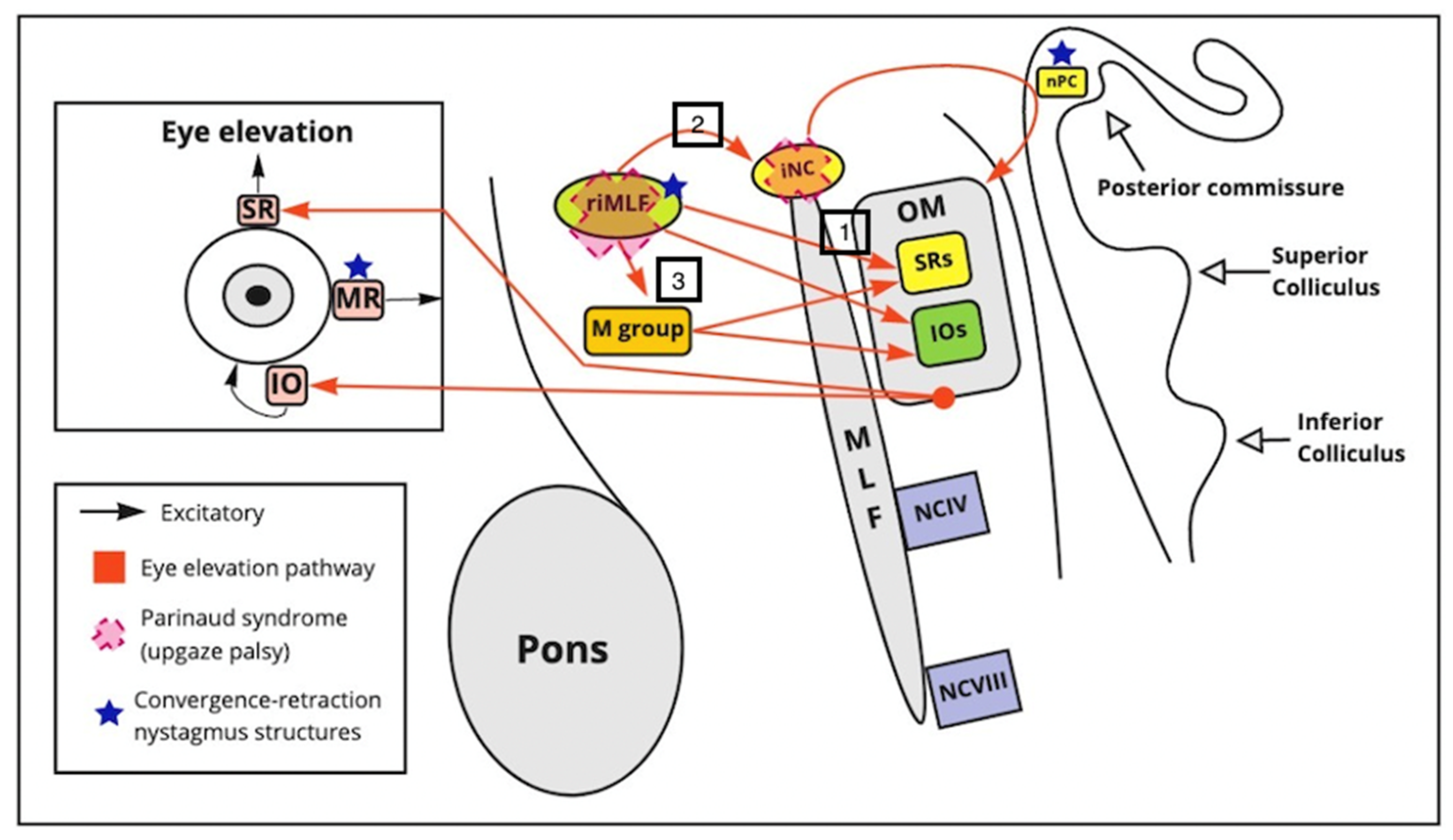 Brainsci 11 01469 g001