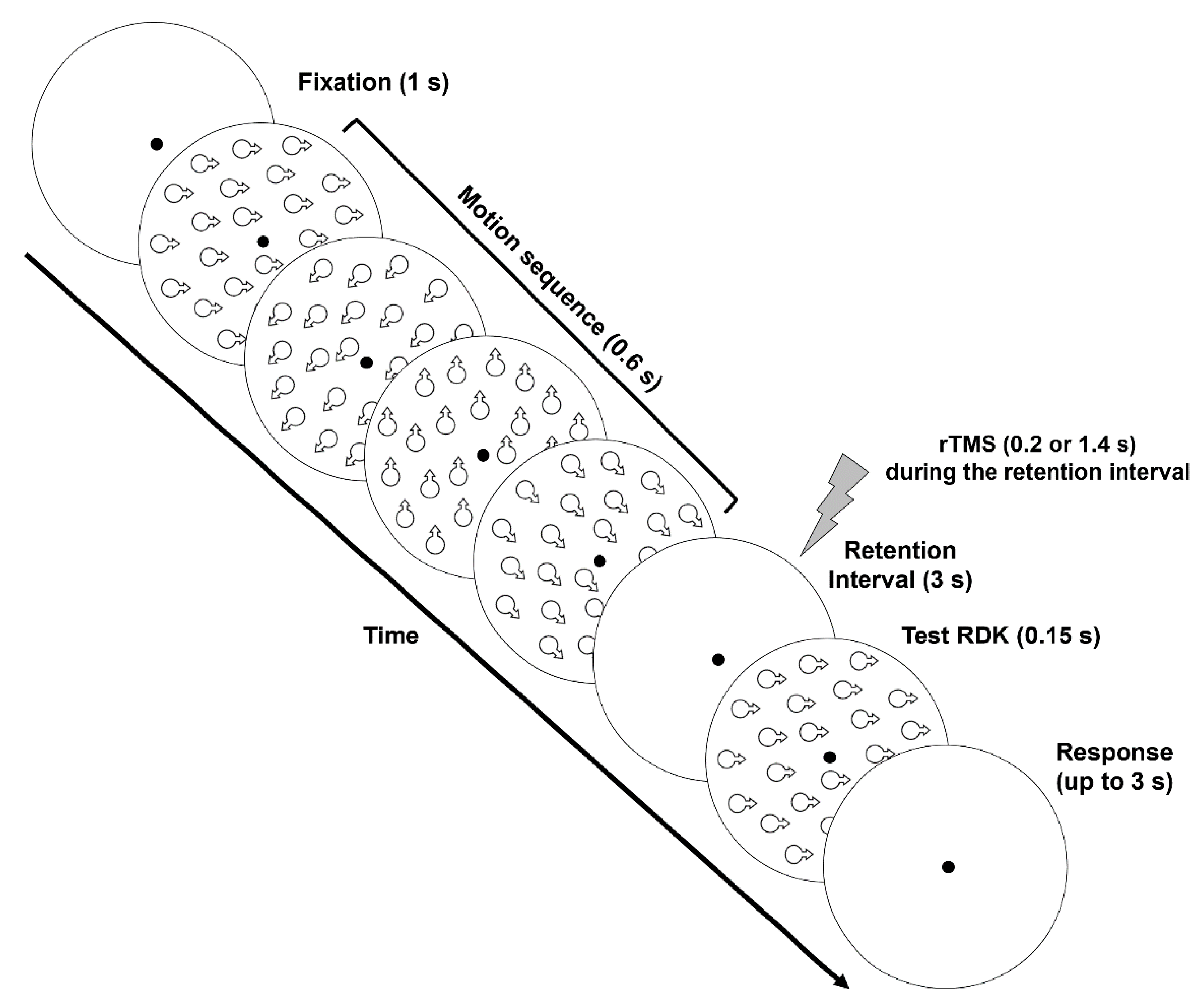 Brainsci 11 01471 g001 Brainsci 11 01471 g001