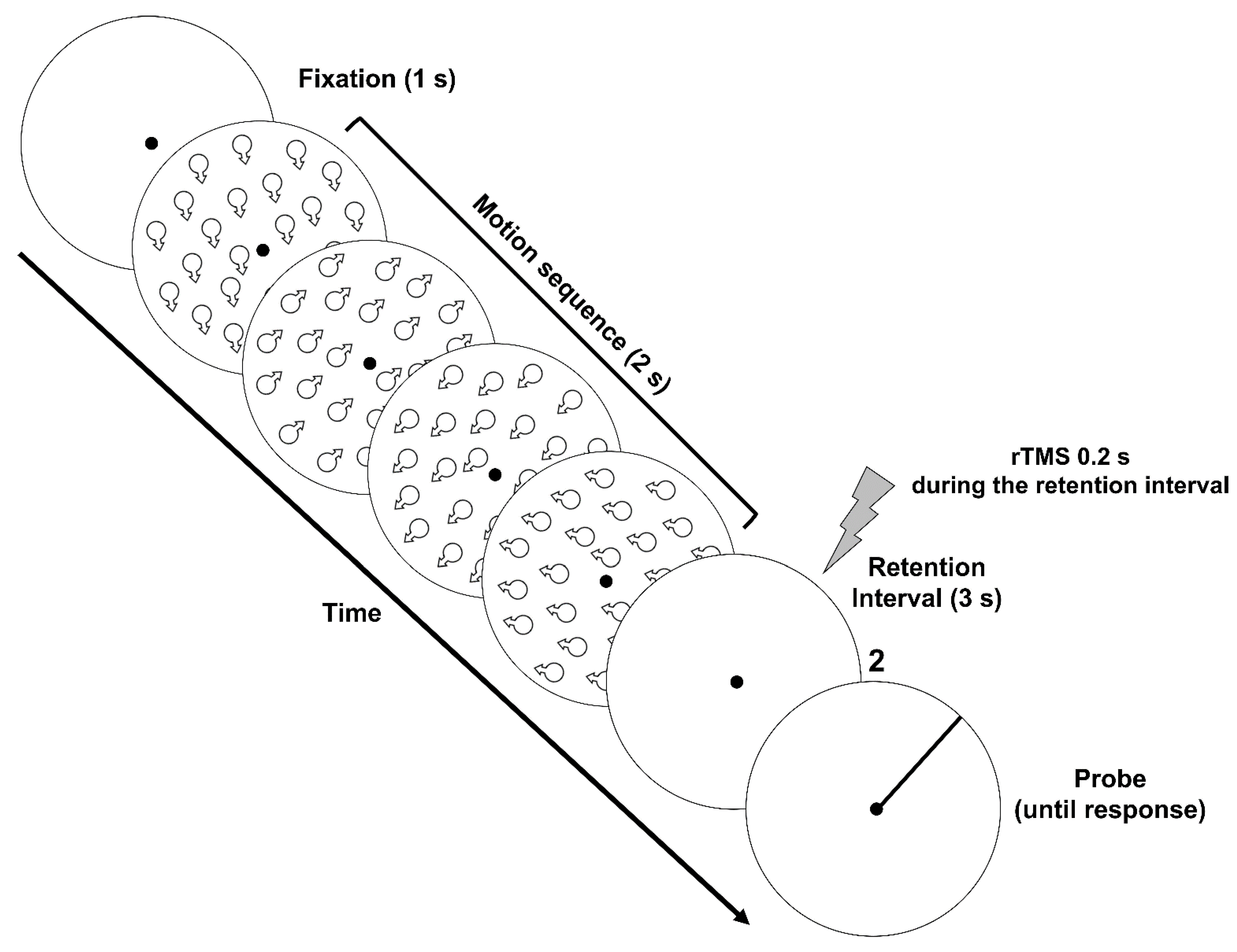 Brainsci 11 01471 g004 Brainsci 11 01471 g004