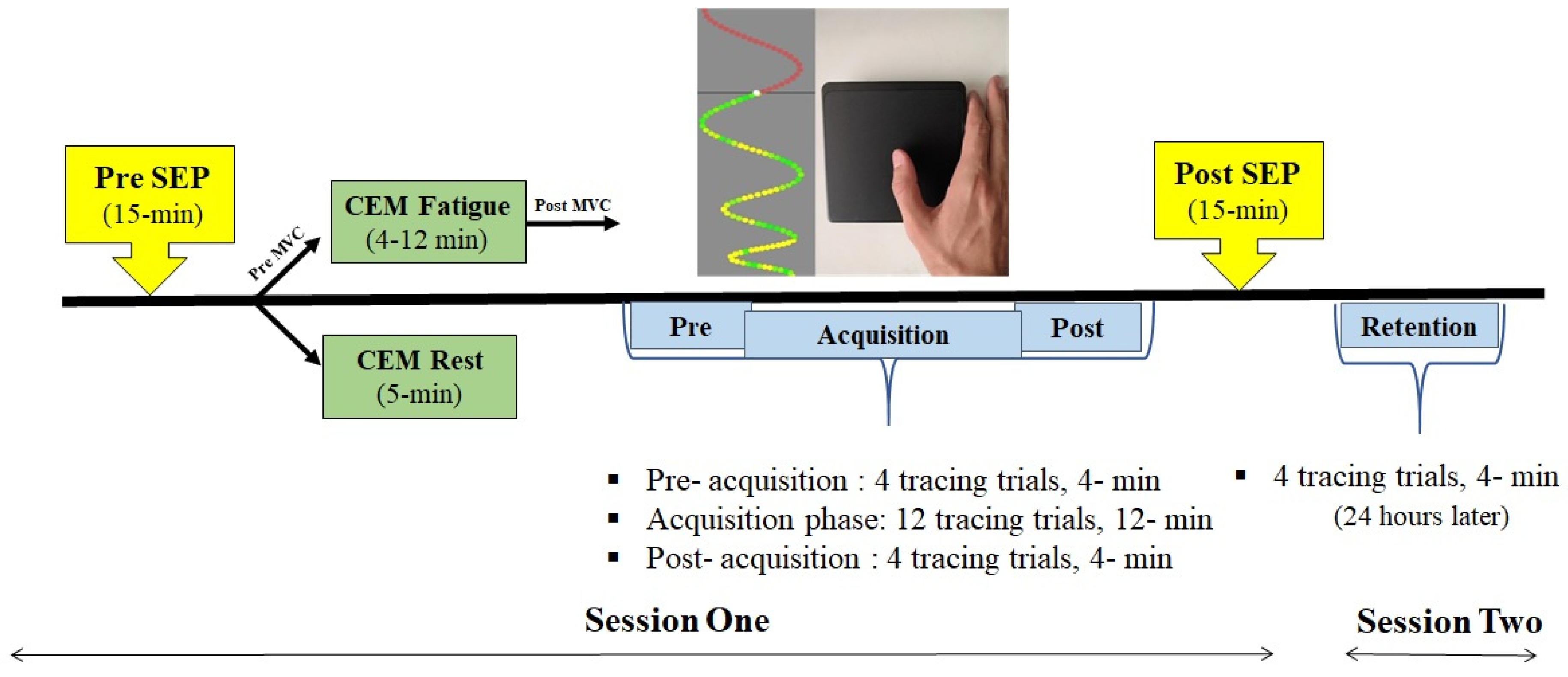 Brainsci 11 01481 g001