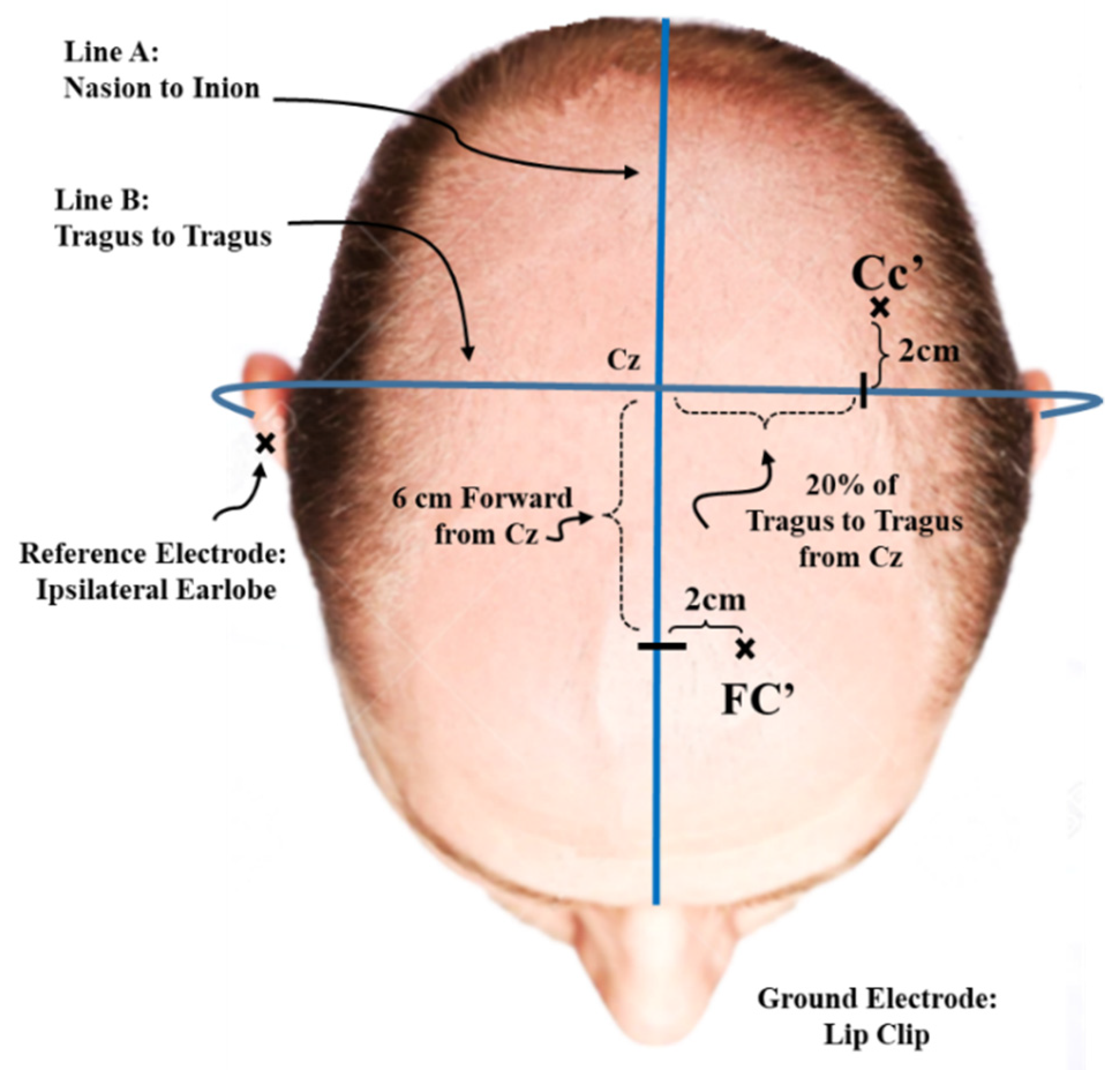 Brainsci 11 01481 g002