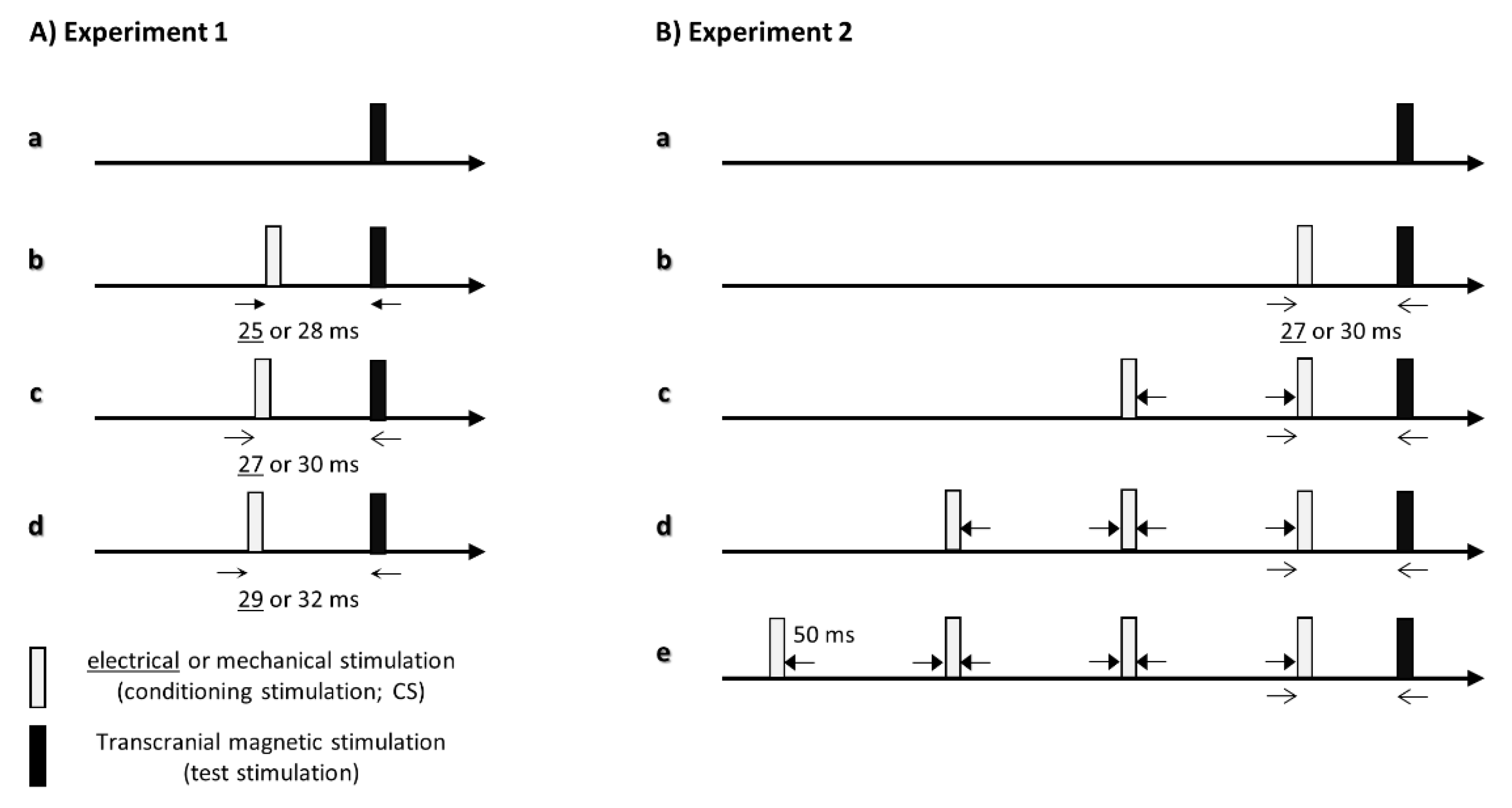 Brainsci 11 01494 g001 Brainsci 11 01494 g001