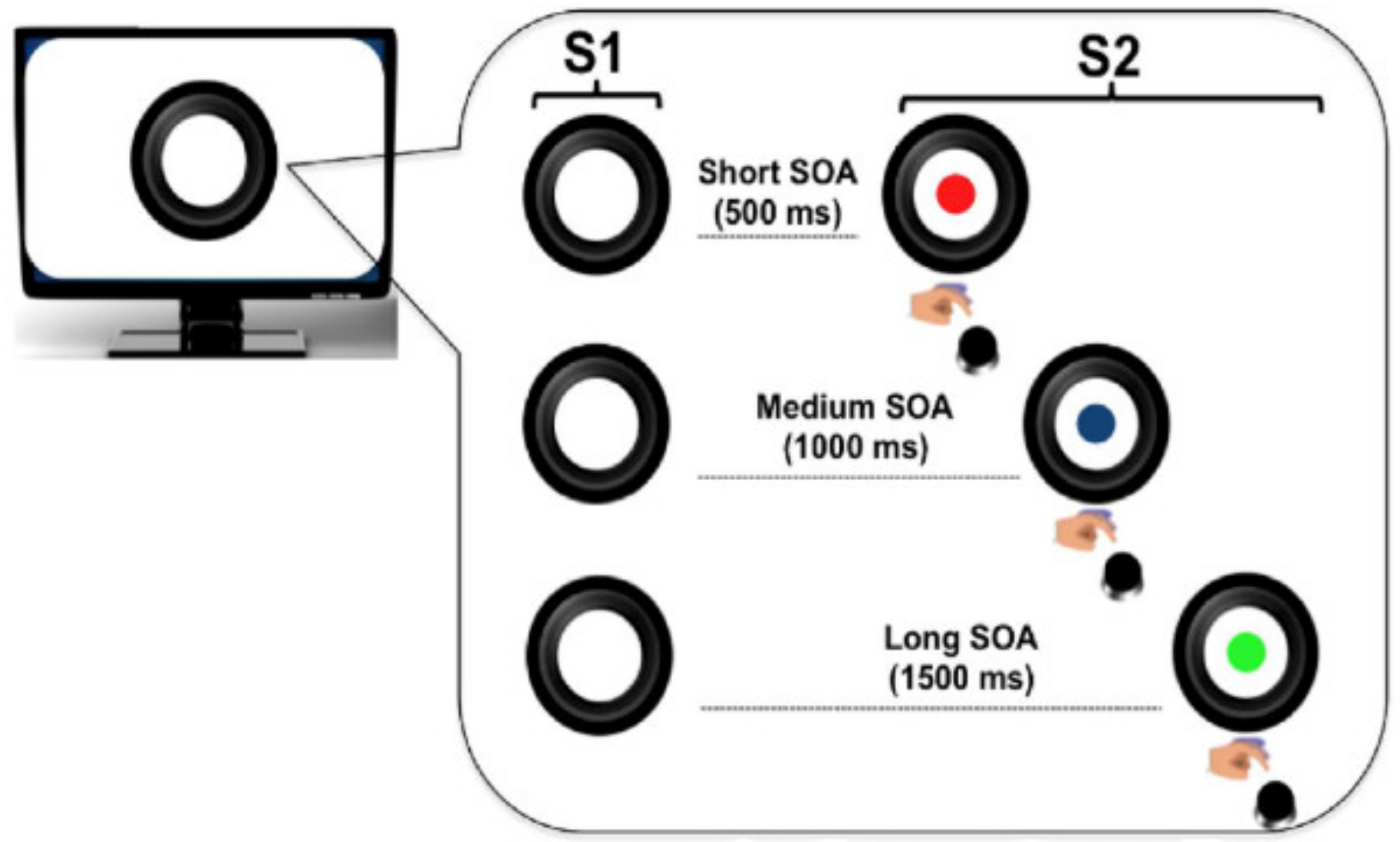 Brainsci 11 01513 g001