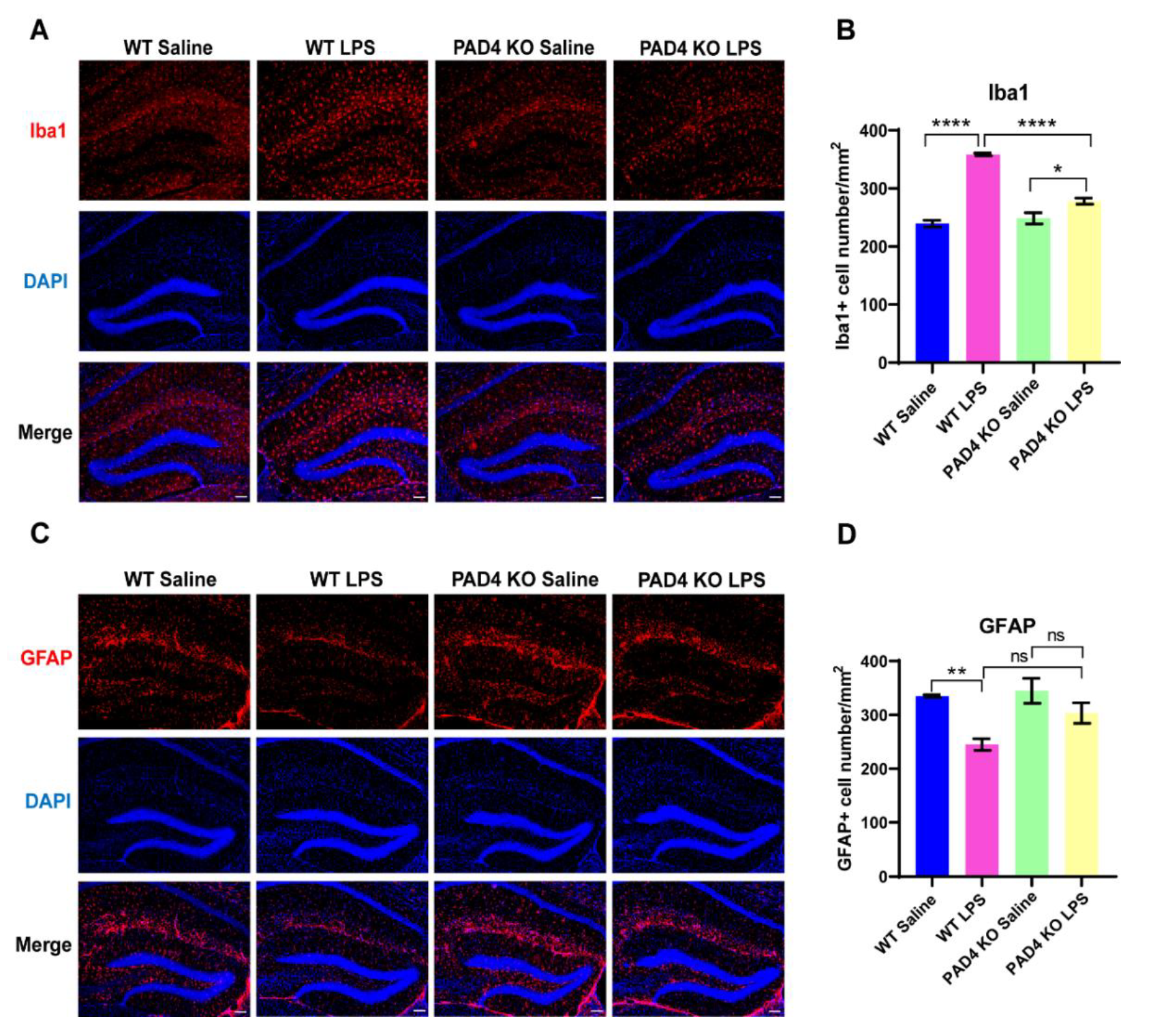 Brainsci 11 01514 g005