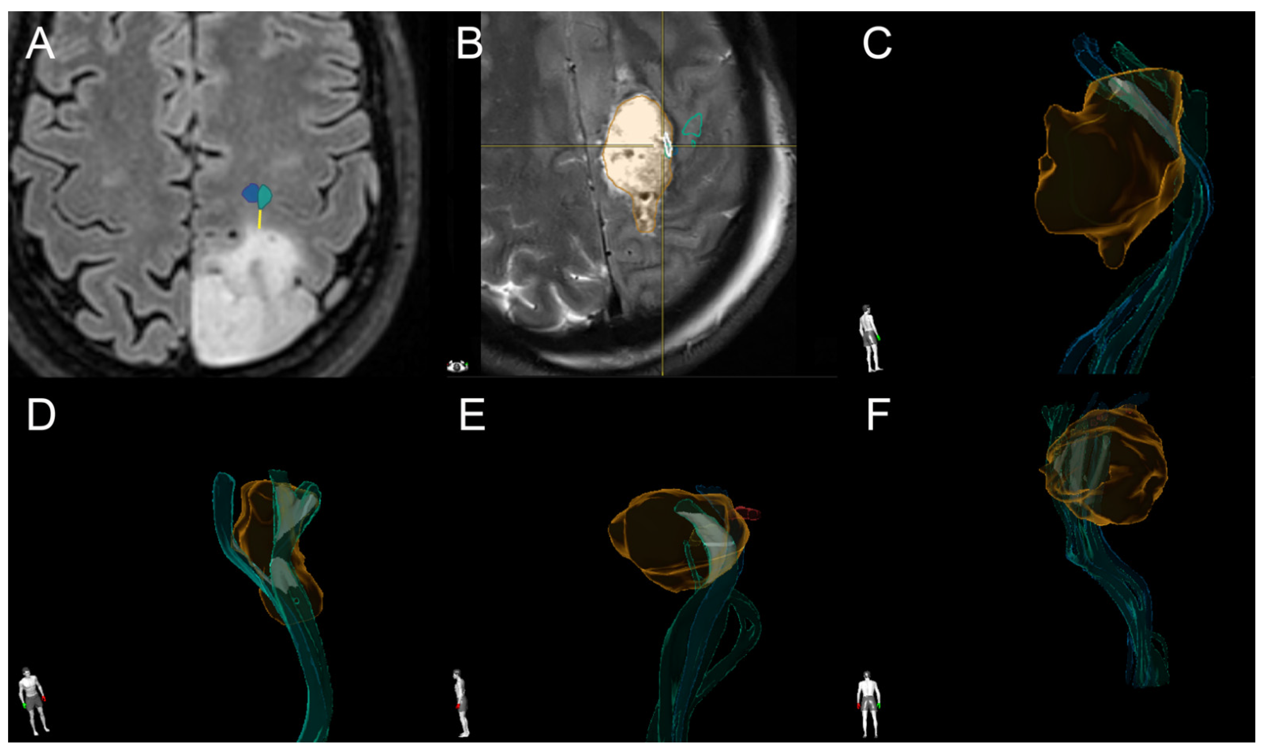 Brainsci 11 01517 g001