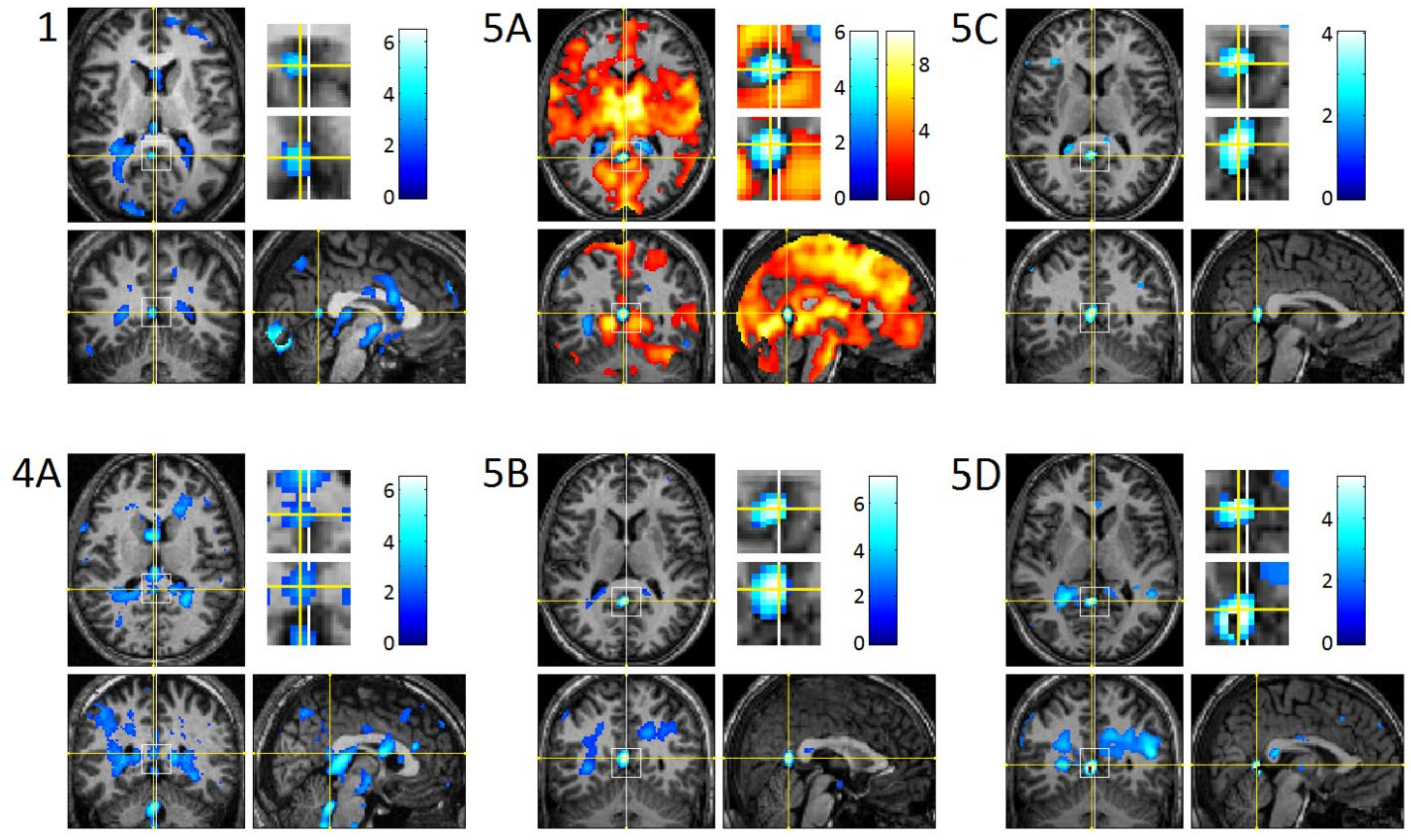 Brainsci 11 01528 g003