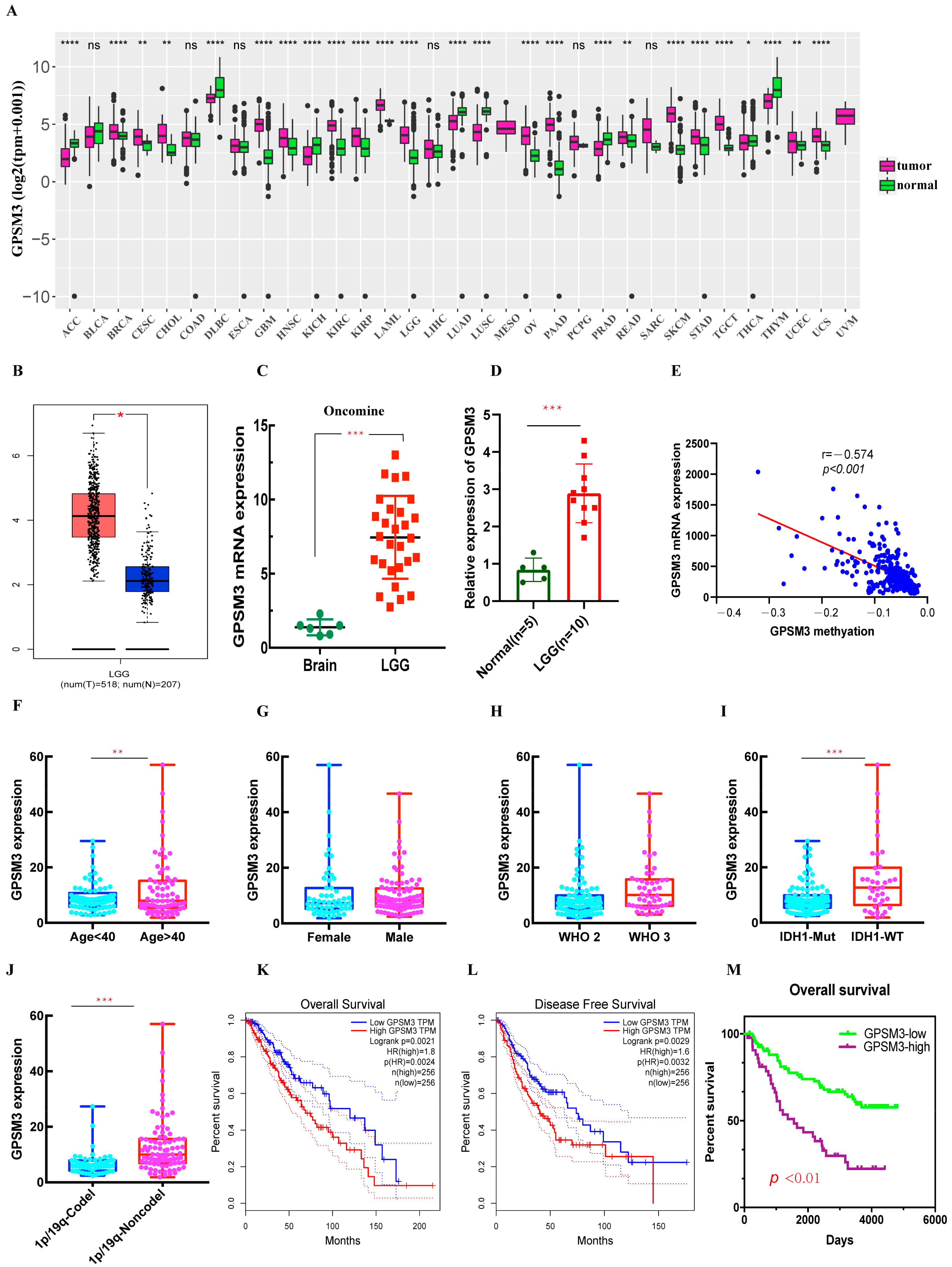 Brainsci 11 01529 g001