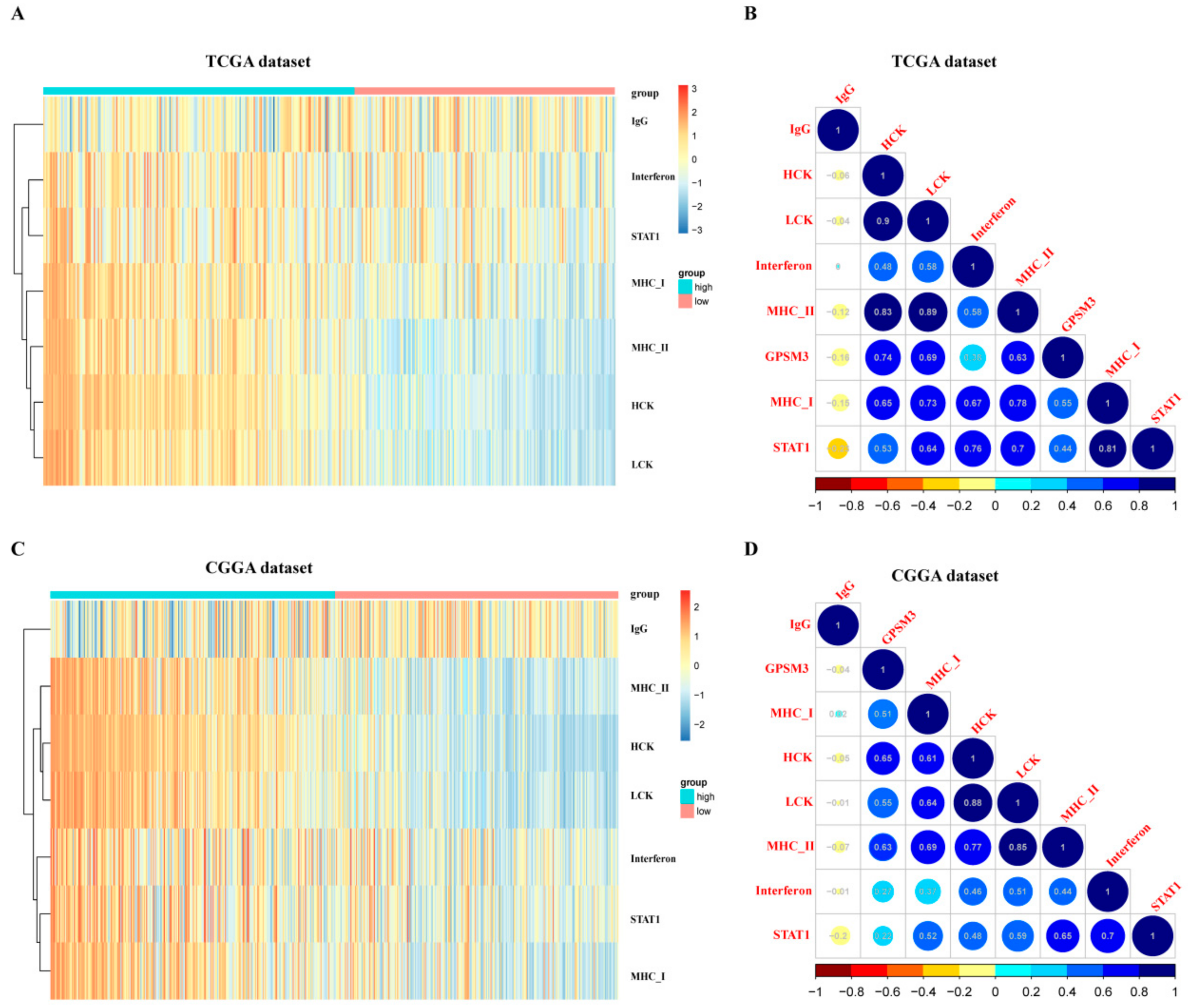 Brainsci 11 01529 g007