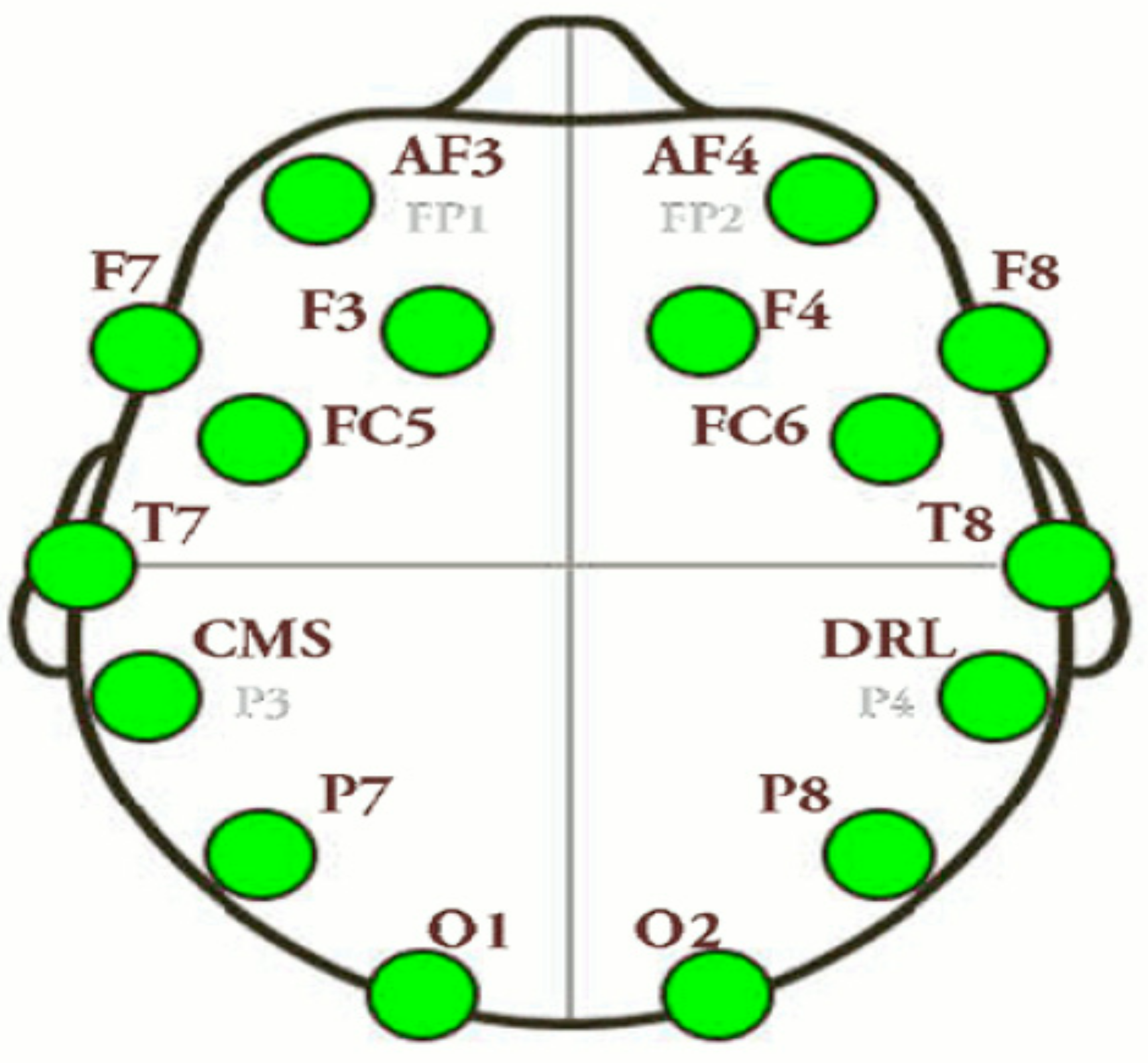 Brainsci 11 01531 g002 Brainsci 11 01531 g002