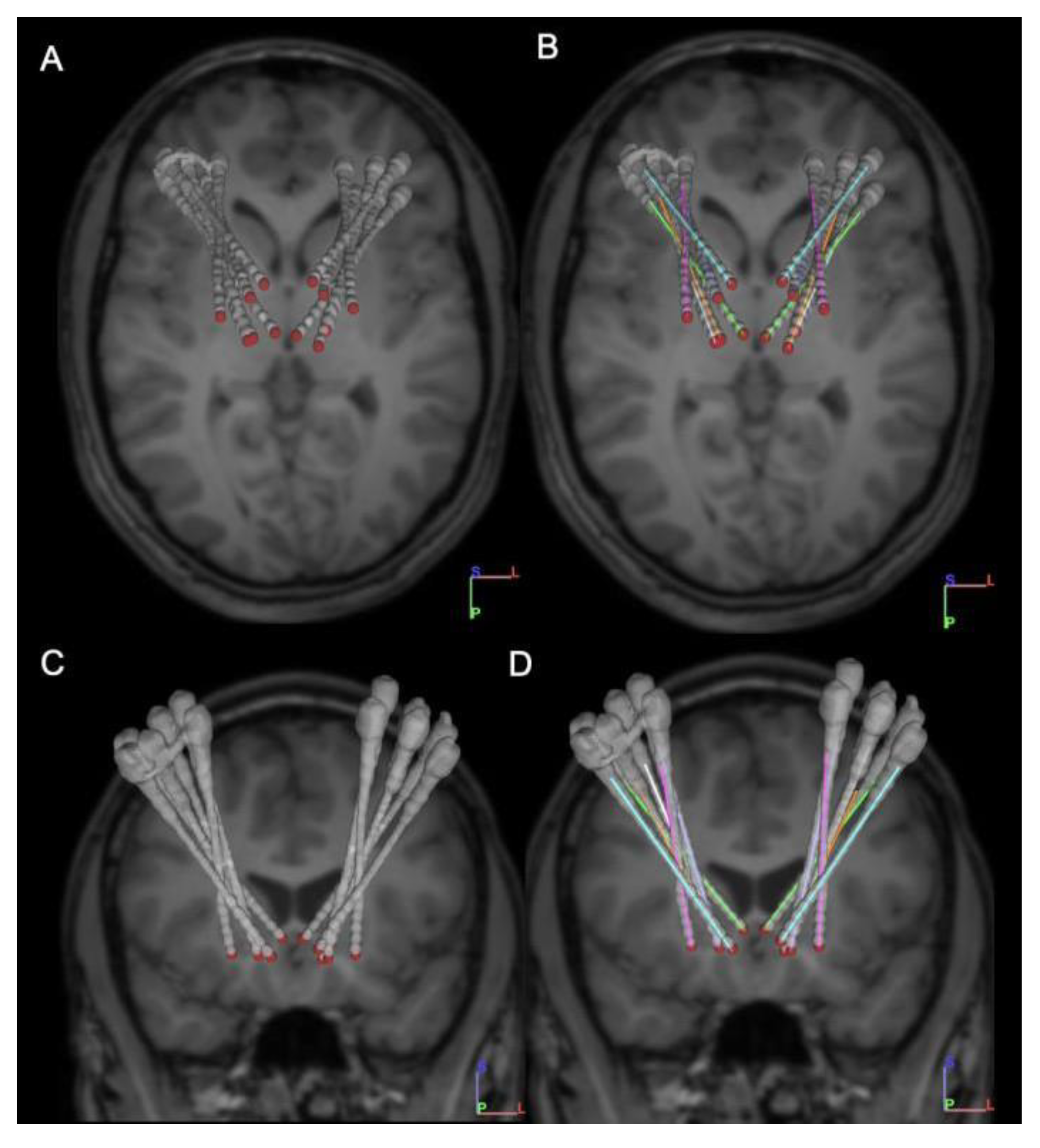 Brainsci 11 01559 g001