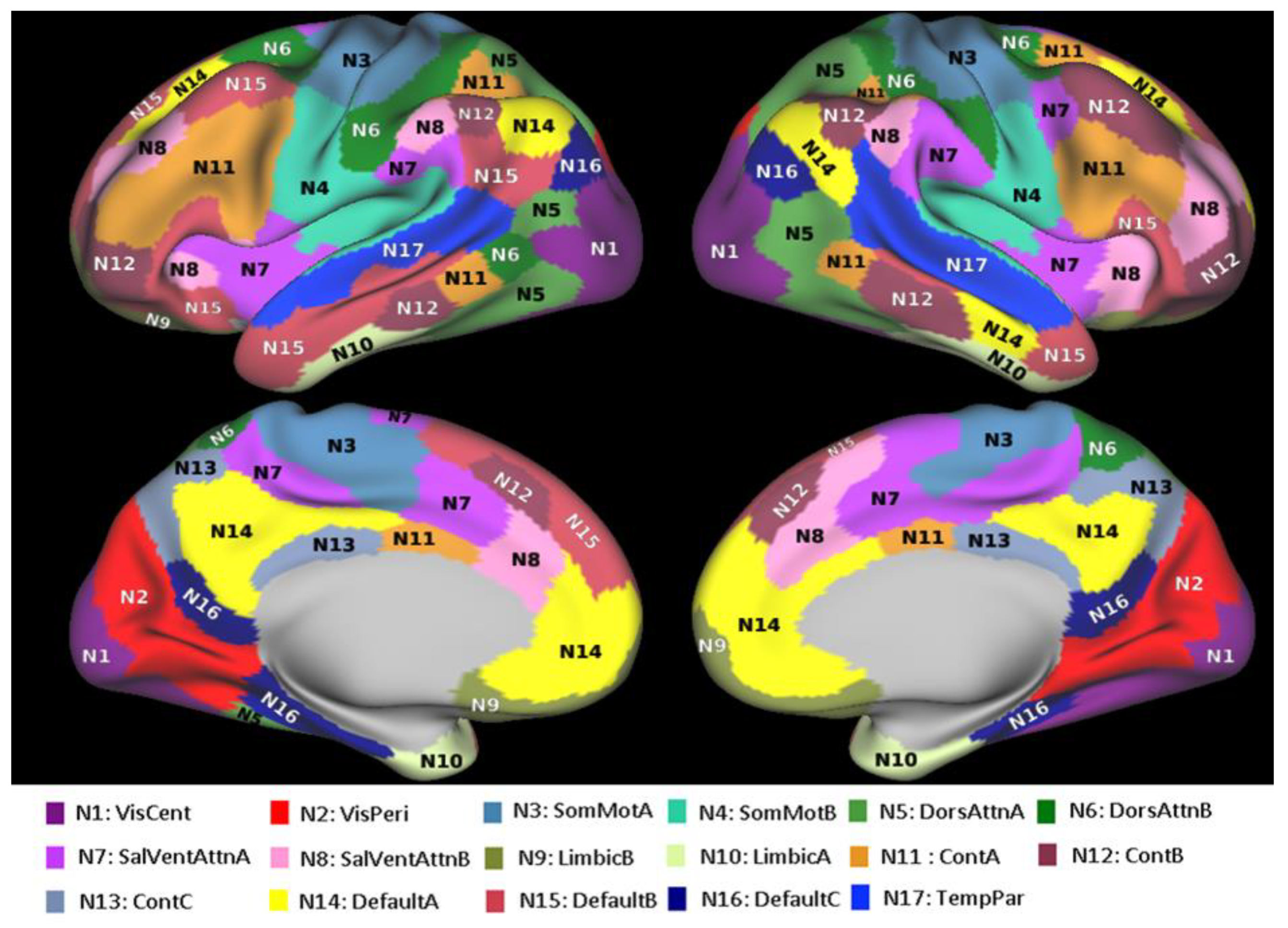 Brainsci 11 01565 g001