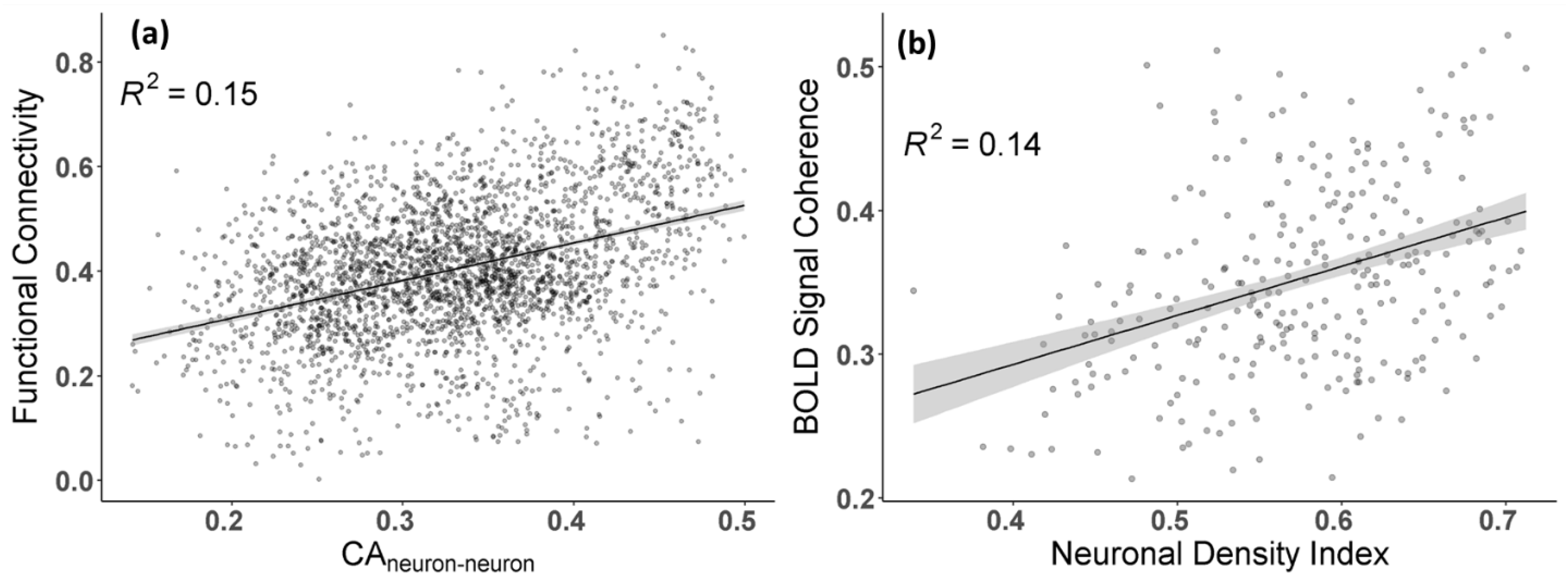 Brainsci 11 01565 g0a3