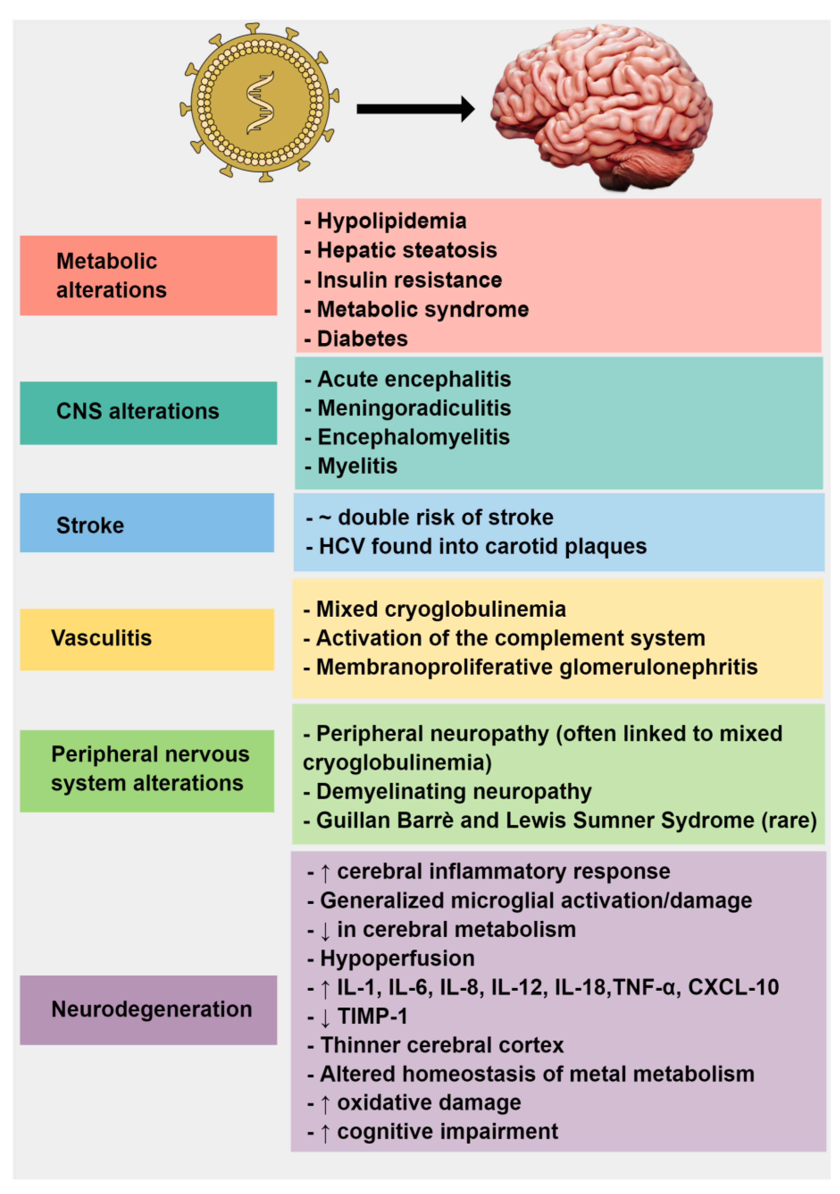 Brain Sciences, Free Full-Text