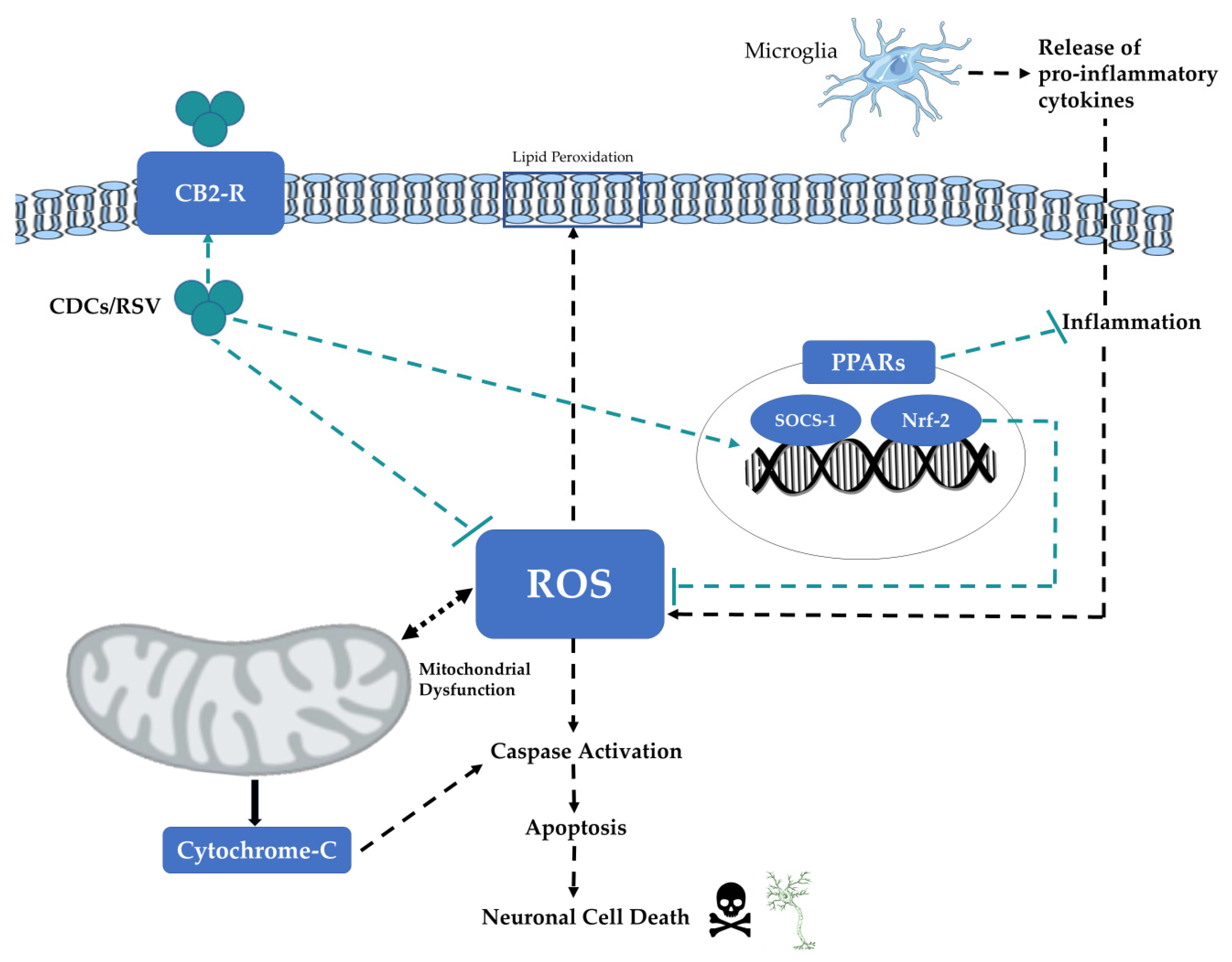 Brainsci 11 01573 g003