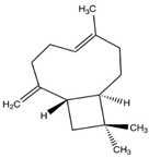 Brainsci 11 01573 i005