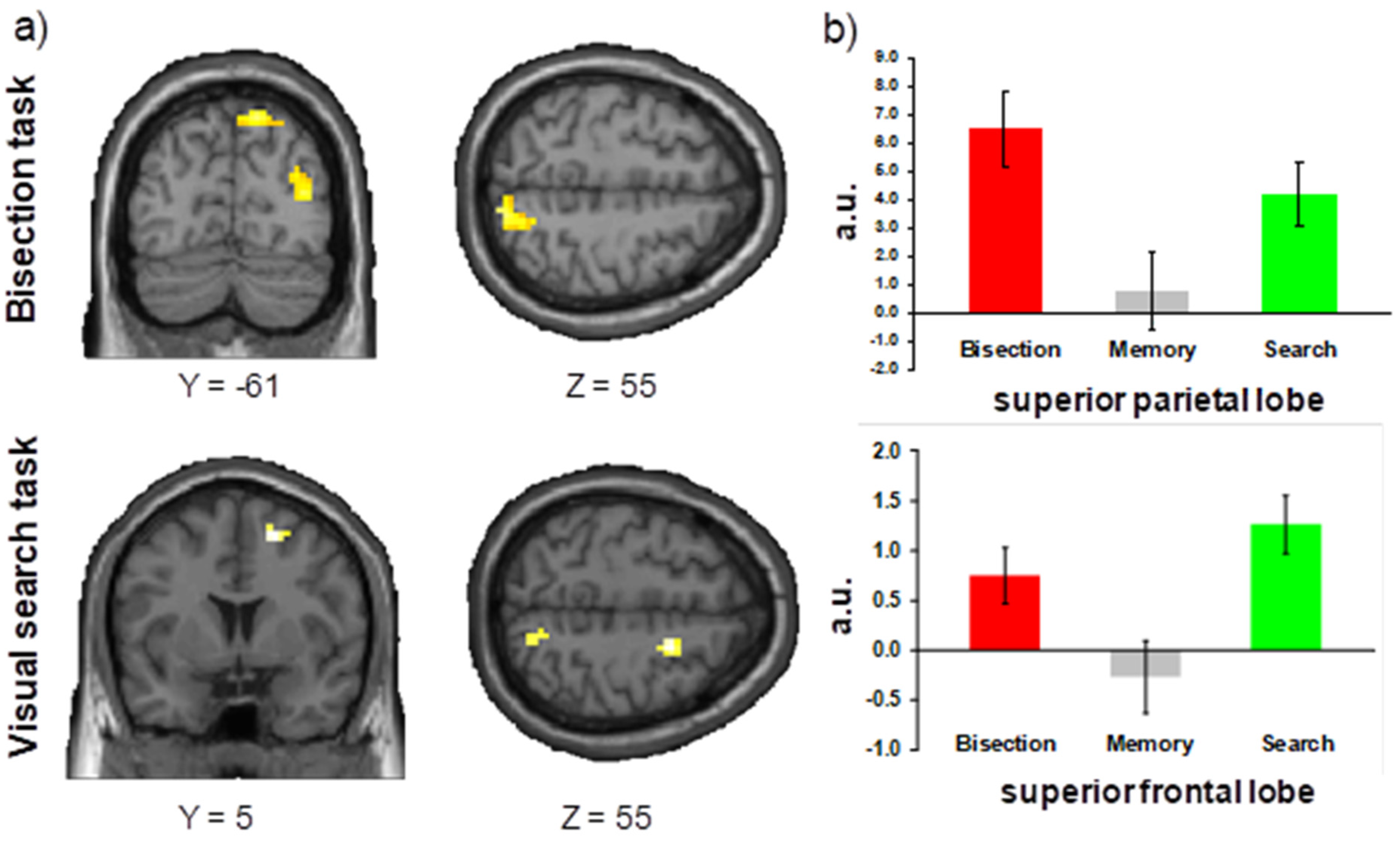 Brainsci 11 01584 g004
