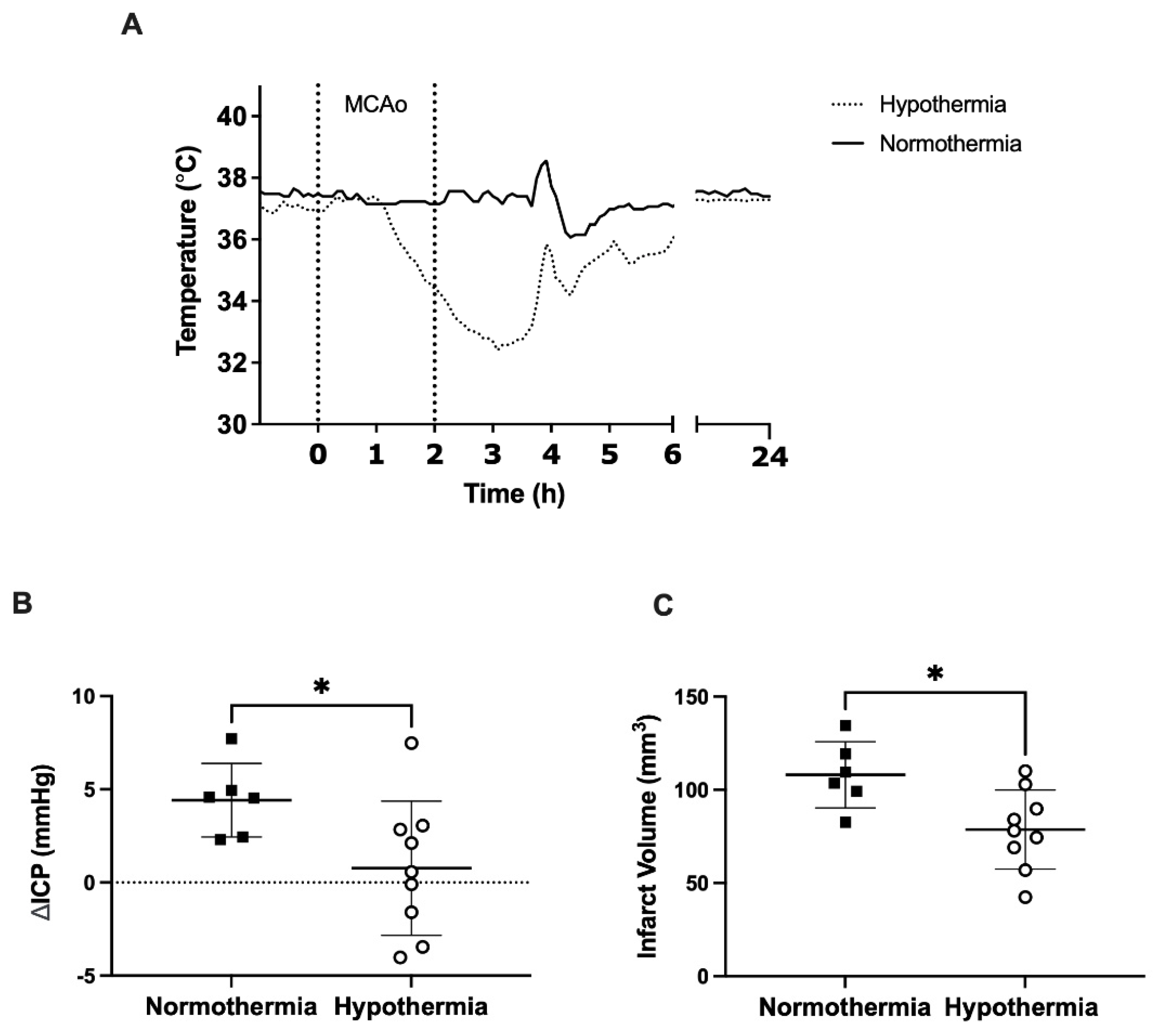Brainsci 11 01589 g002 Brainsci 11 01589 g002
