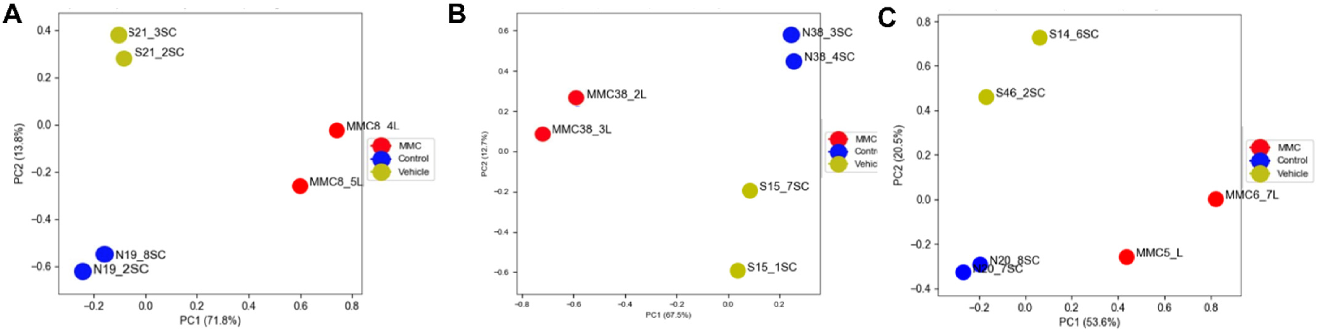 Brainsci 11 01593 g001