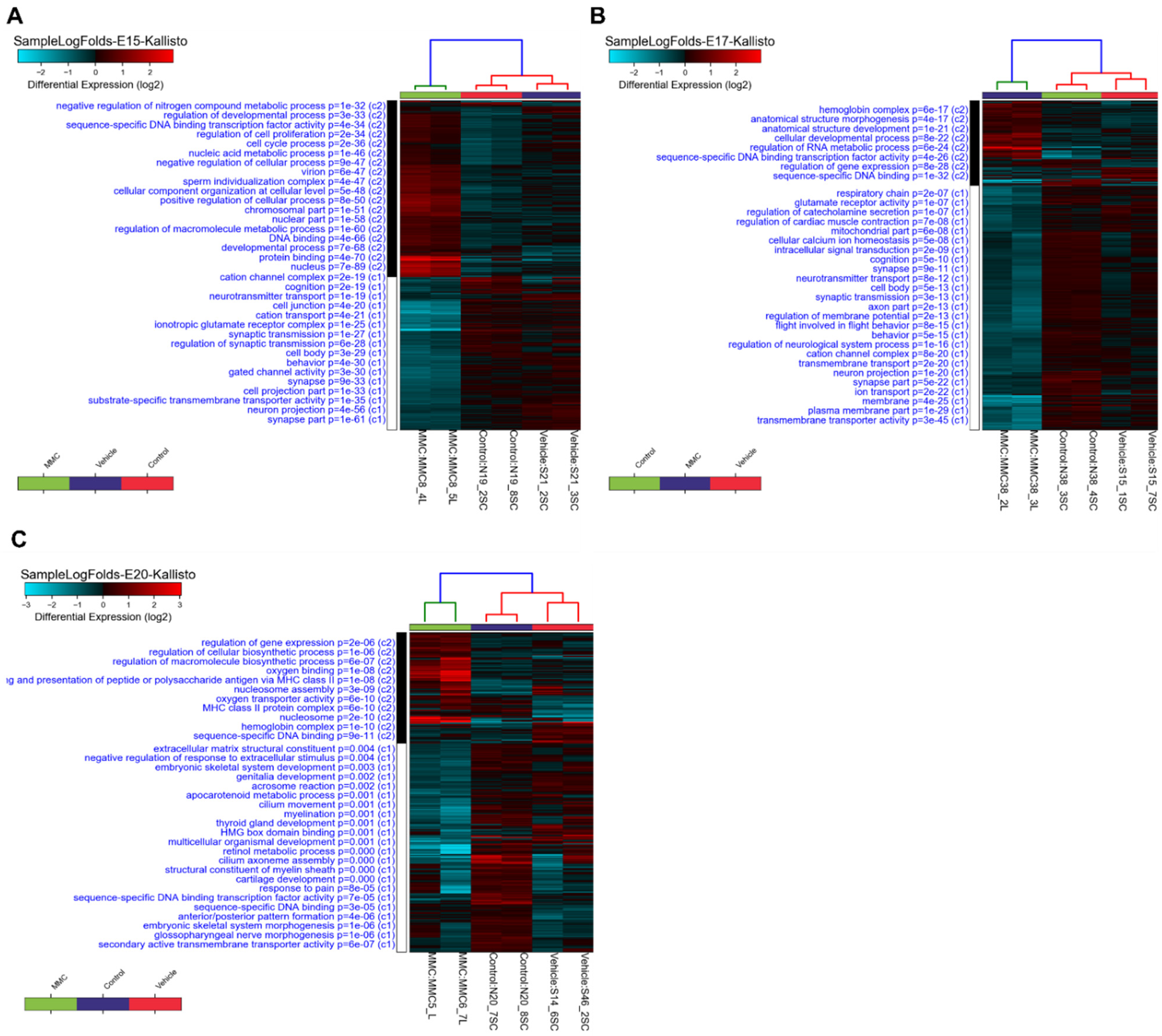 Brainsci 11 01593 g005