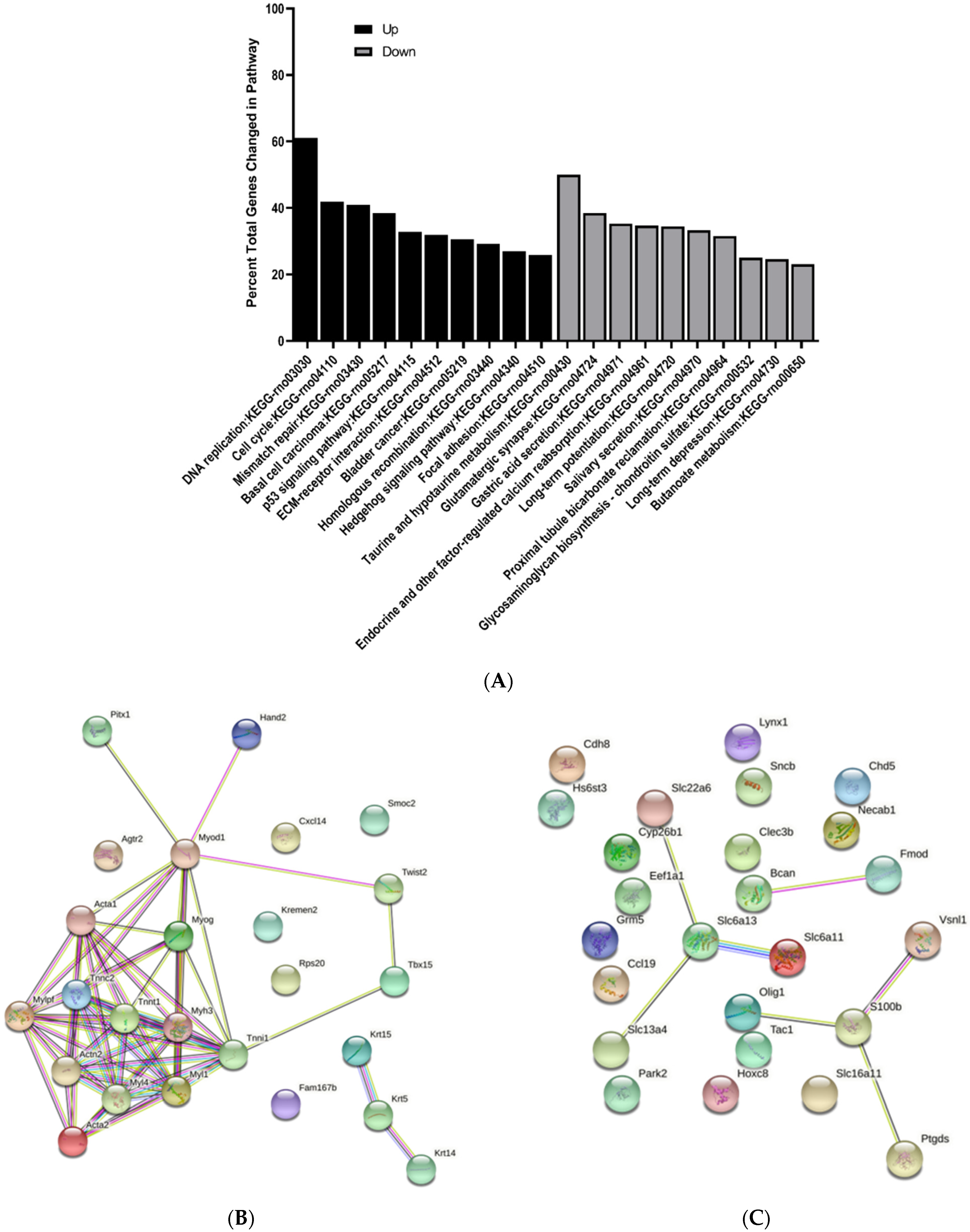 Brainsci 11 01593 g009