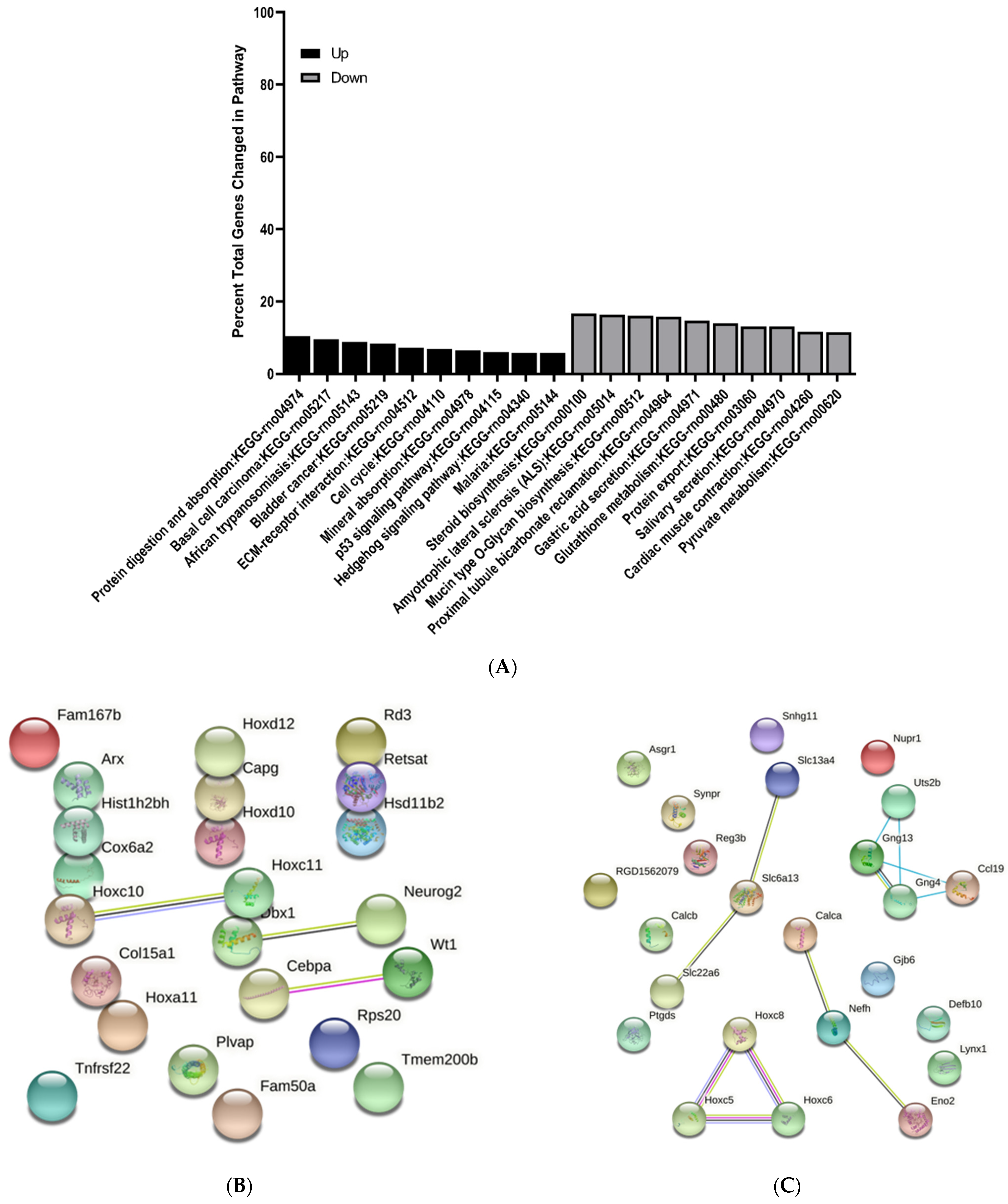 Brainsci 11 01593 g010