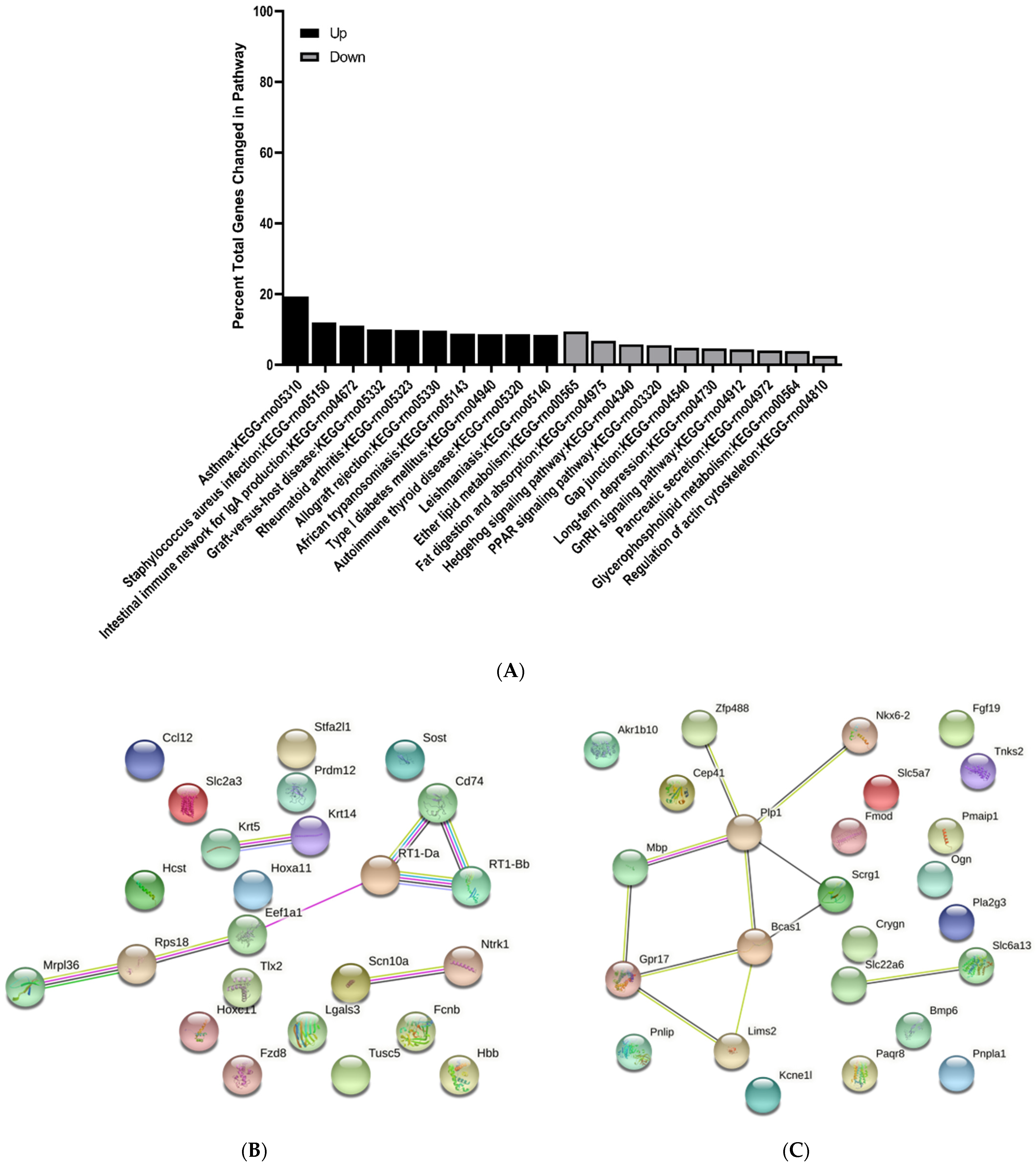 Brainsci 11 01593 g011