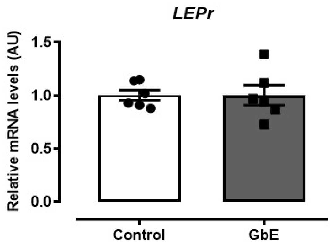 Brainsci 11 01602 g003