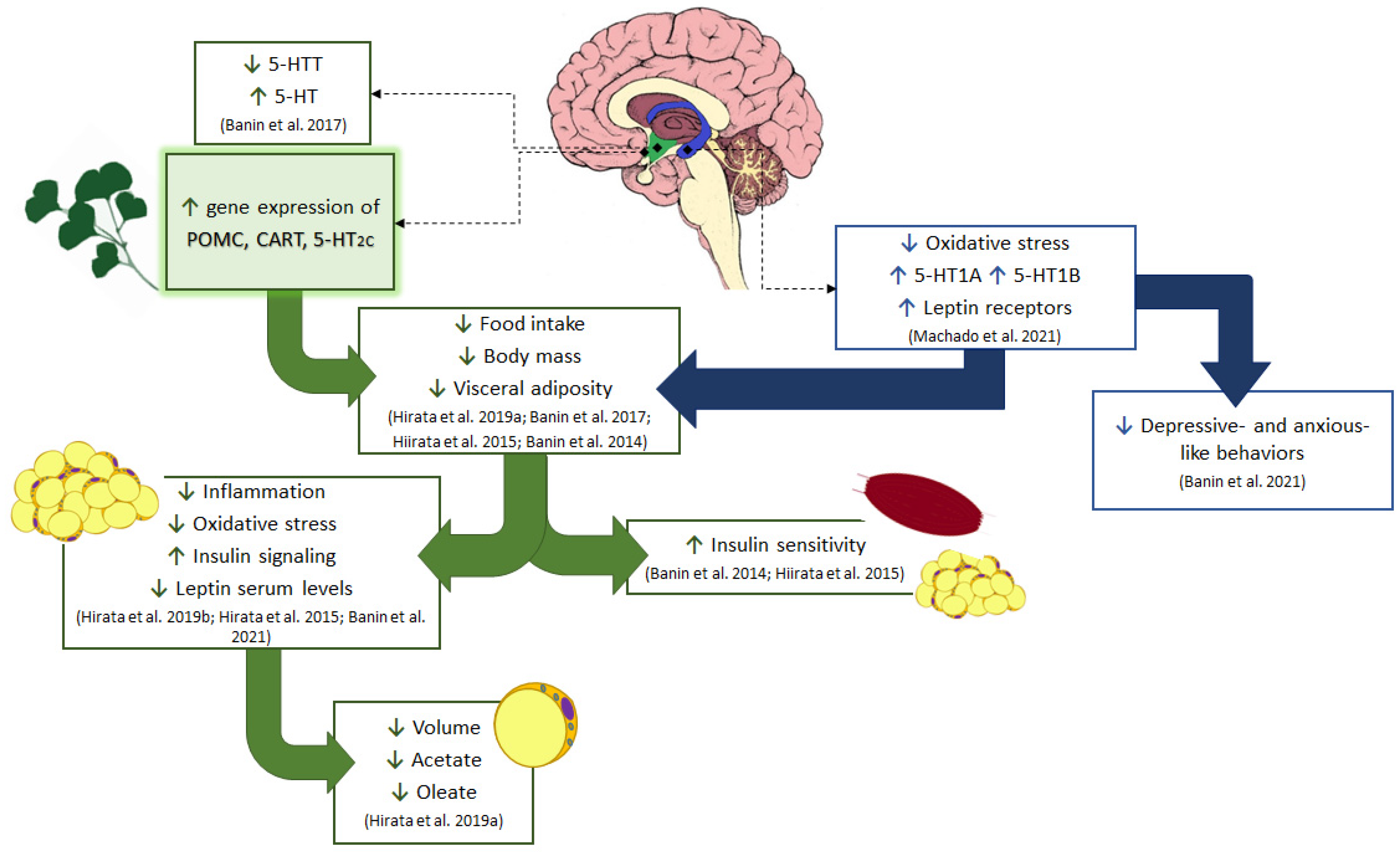 Brainsci 11 01602 g005
