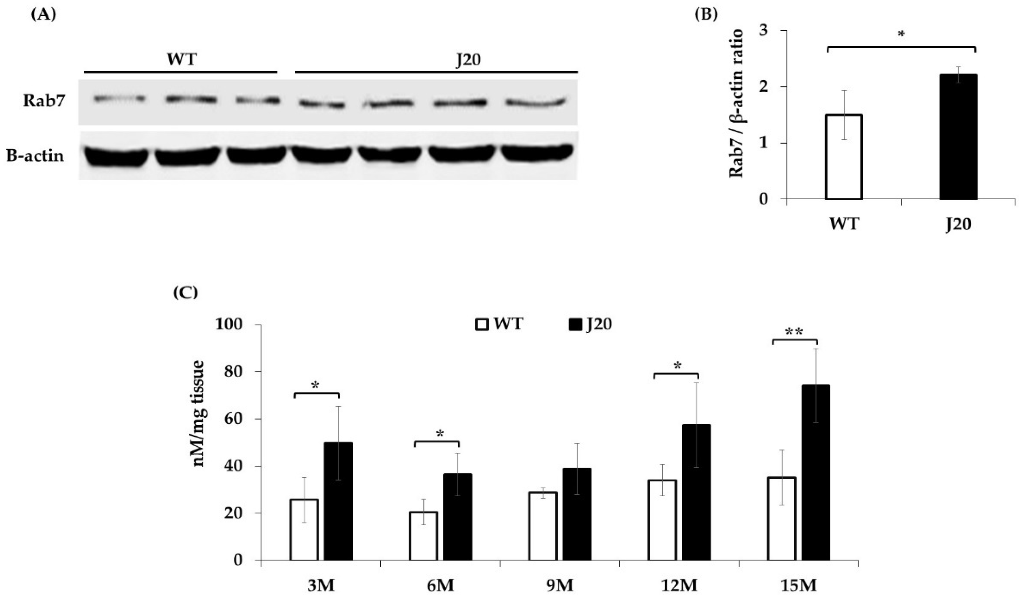 Brainsci 11 01603 g005 550