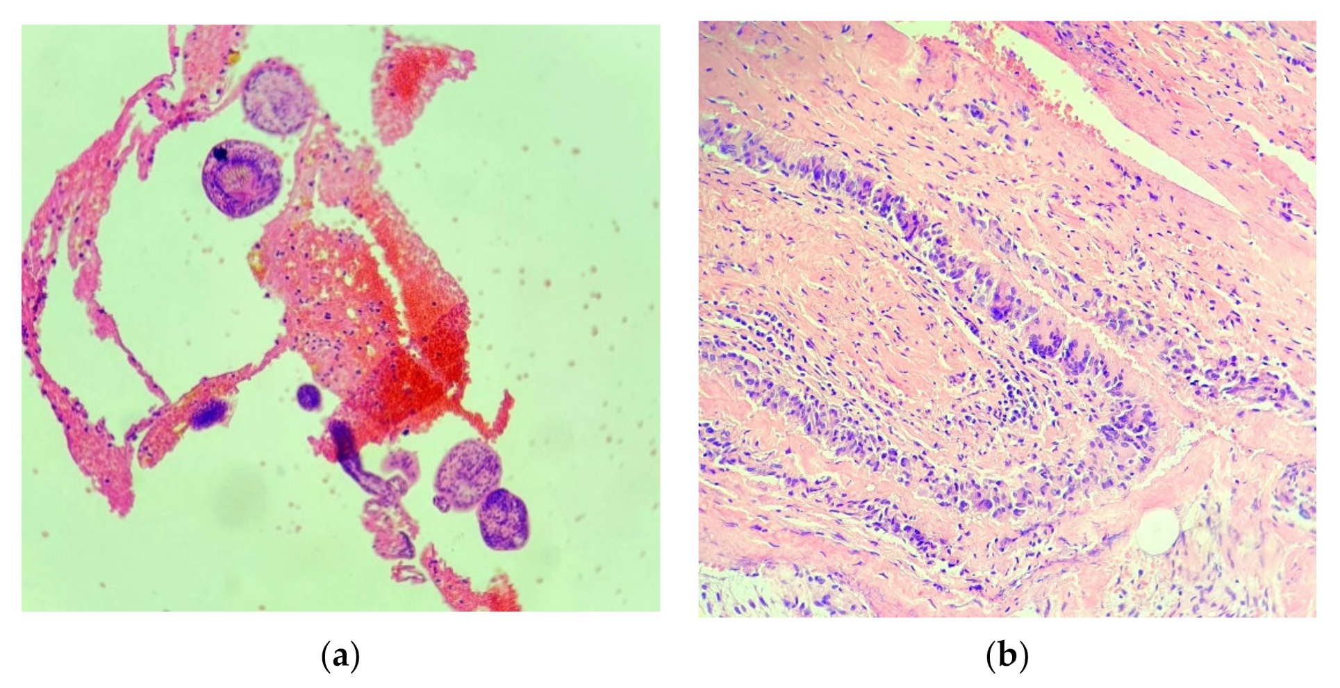 Brainsci 11 01604 g009