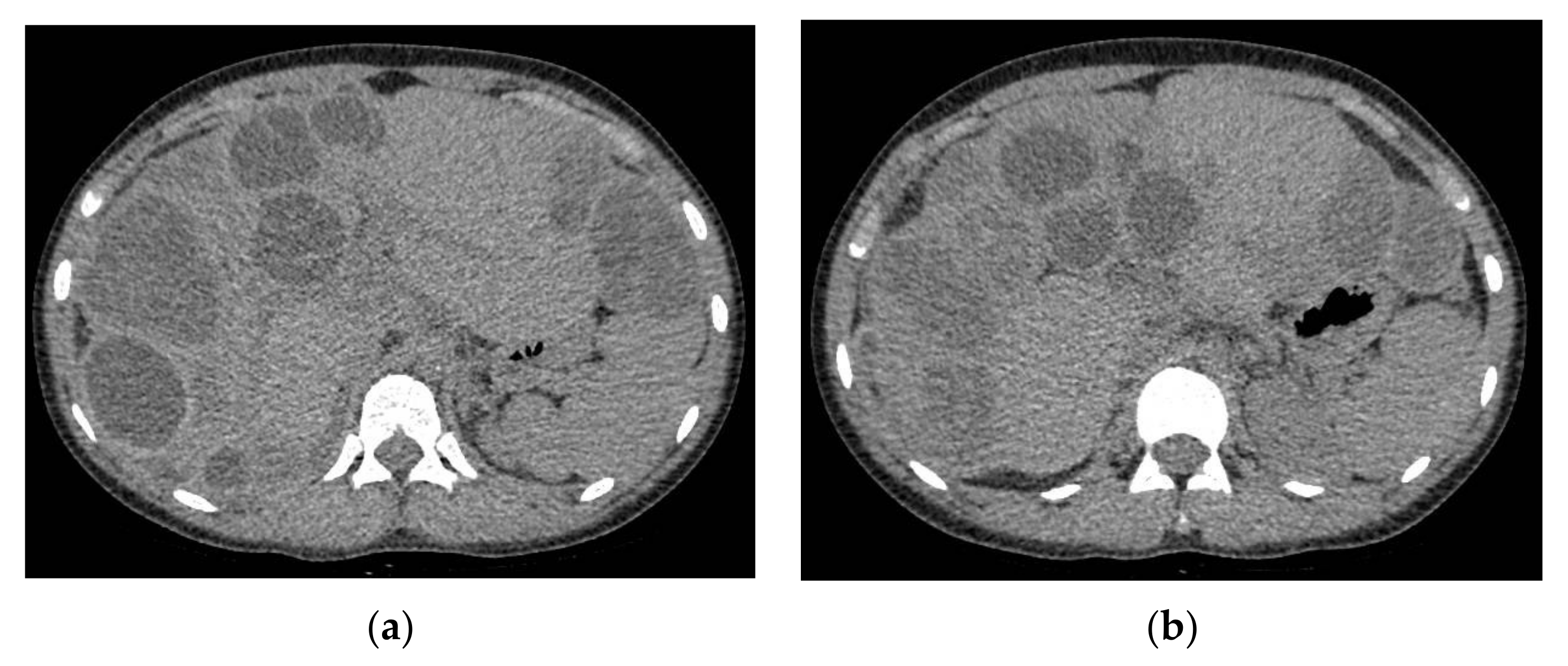 Brainsci 11 01604 g010