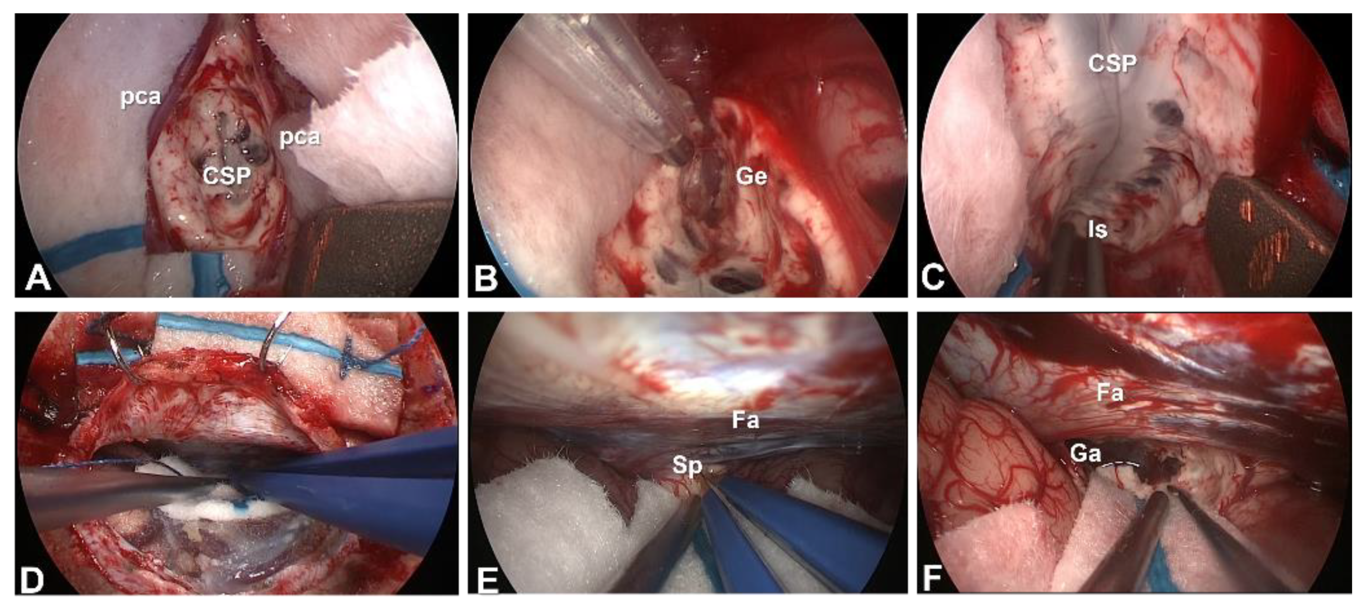 Brainsci 11 01608 g007 550
