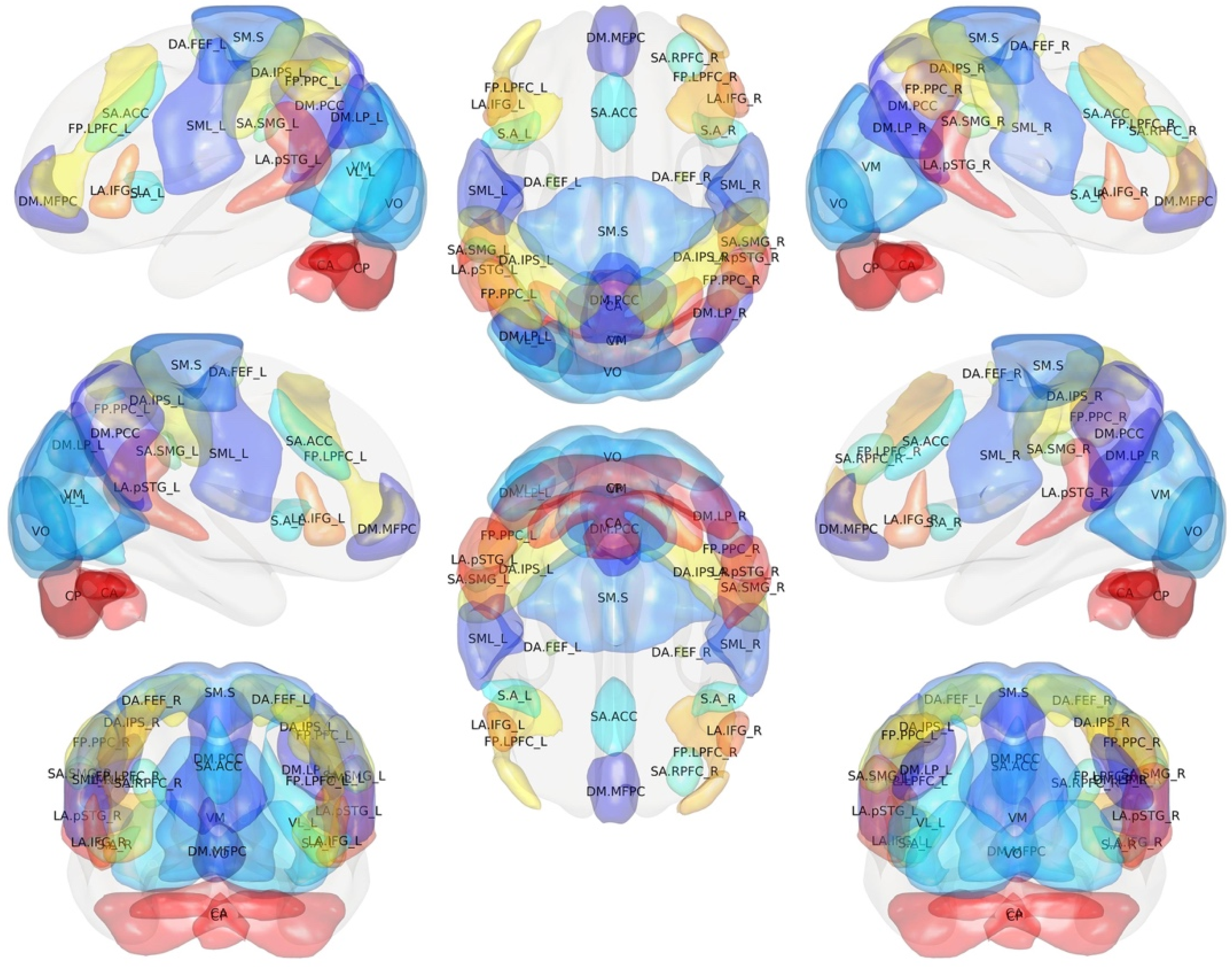 Brainsci 11 01613 g002