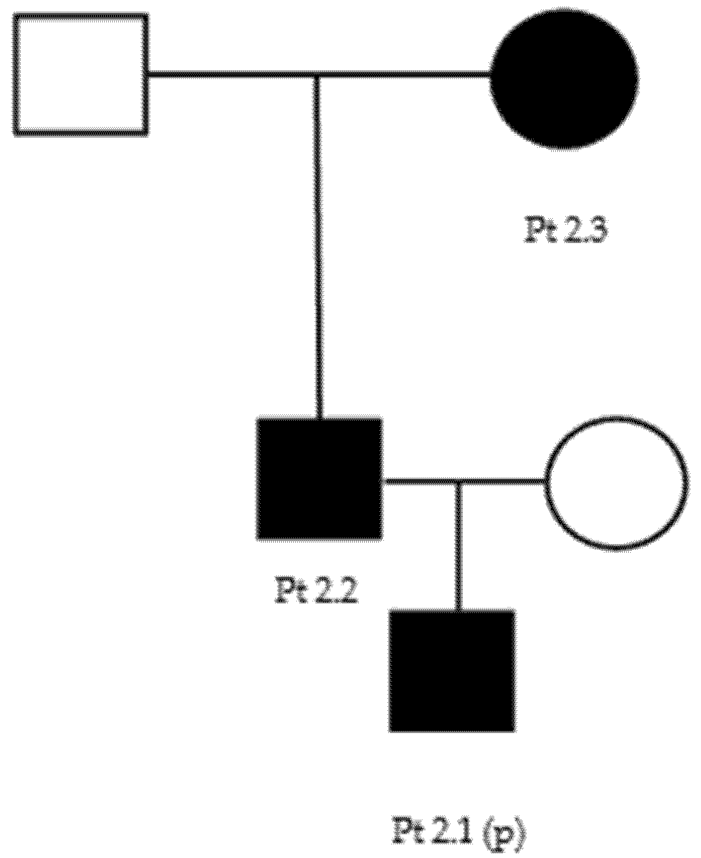 Brainsci 11 01616 g0a2 550