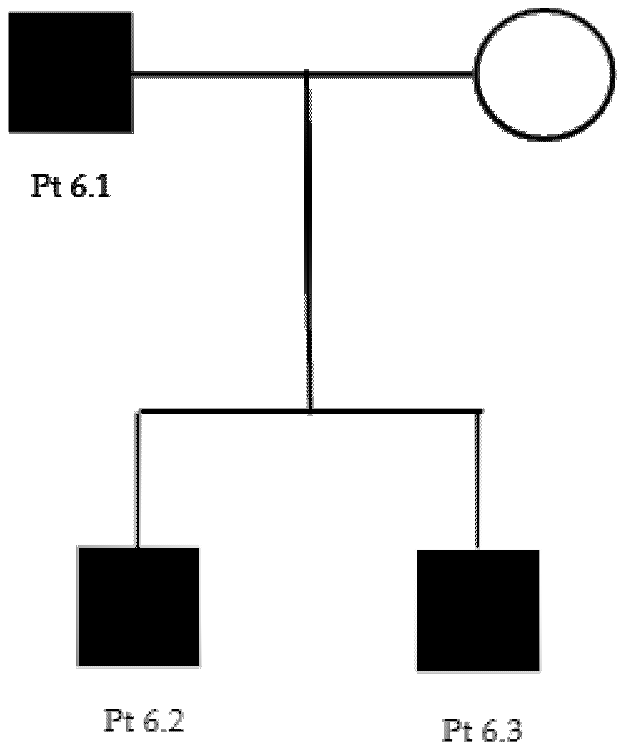 Brainsci 11 01616 g0a4 550