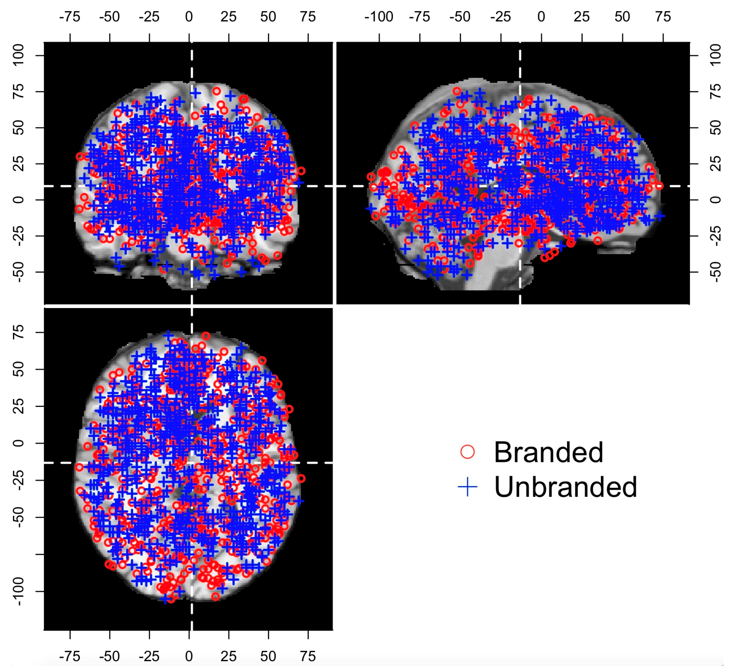 Brainsci 11 01619 g002 550