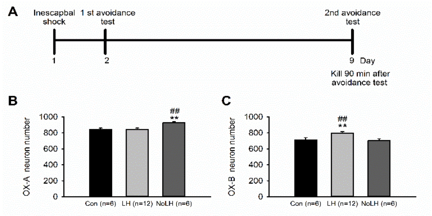 Brainsci 11 01634 g001